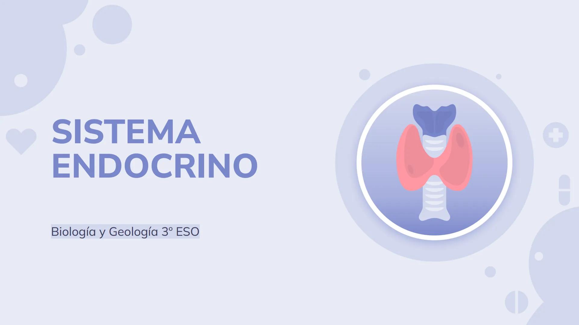 # SISTEMA ENDOCRINO
Biología y Geología 3º ESO 1. ¿Qué es el sistema endocrino?
El sistema endocrino es, junto con el sistema nervioso, el