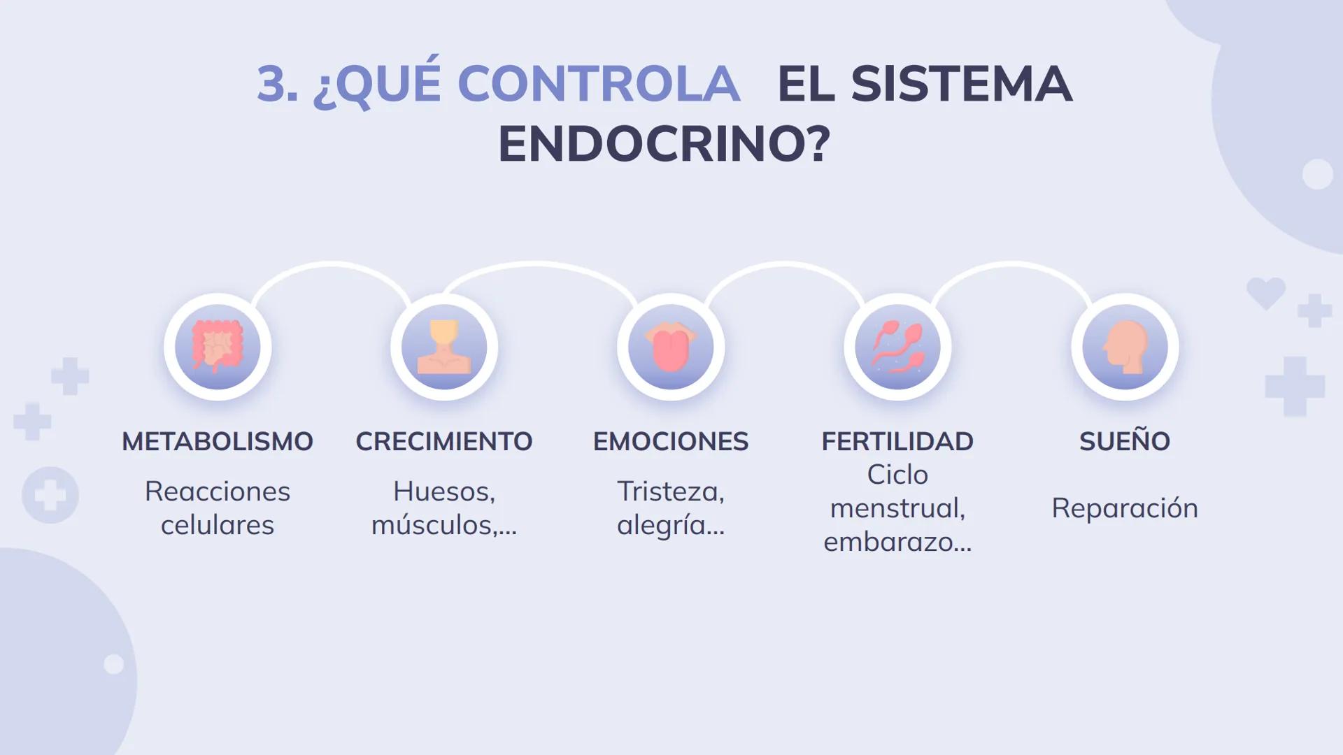 # SISTEMA ENDOCRINO
Biología y Geología 3º ESO 1. ¿Qué es el sistema endocrino?
El sistema endocrino es, junto con el sistema nervioso, el