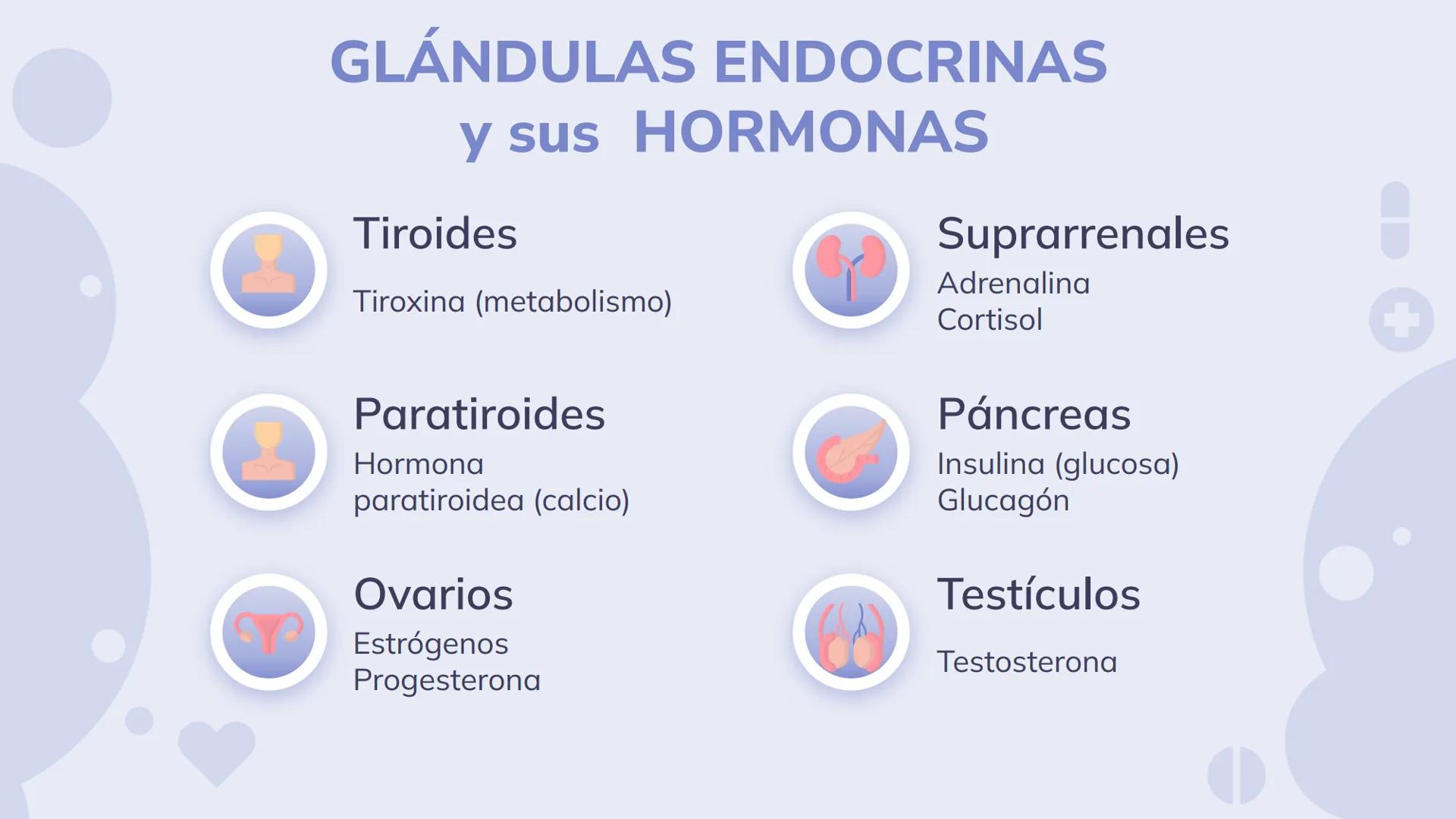 # SISTEMA ENDOCRINO
Biología y Geología 3º ESO 1. ¿Qué es el sistema endocrino?
El sistema endocrino es, junto con el sistema nervioso, el