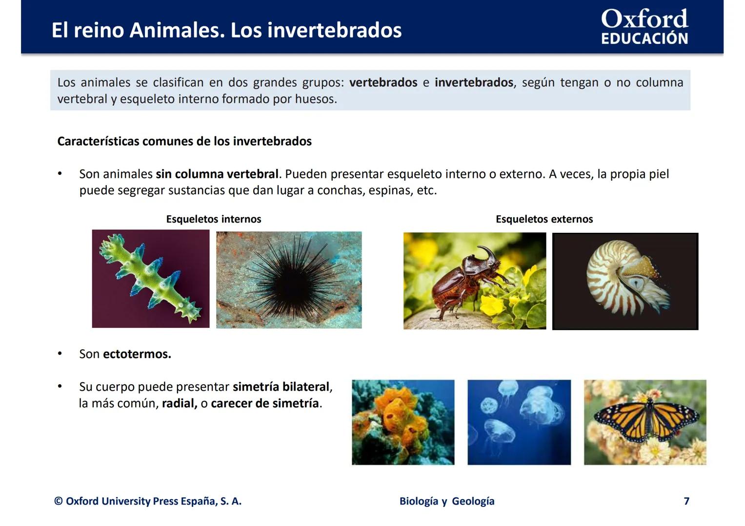 # Oxford
EDUCATION
EL REINO ANIMALES.
LOS INVERTEBRADOS
Biología y Geología El reino Animales. Los invertebrados
Oxford
EDUCACIÓN
• ¿Qué