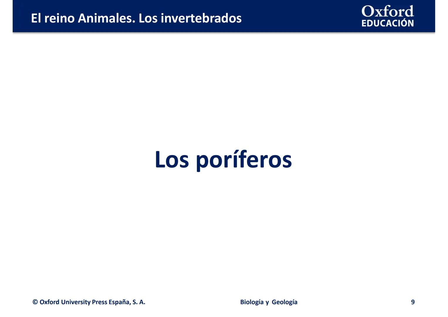 # Oxford
EDUCATION
EL REINO ANIMALES.
LOS INVERTEBRADOS
Biología y Geología El reino Animales. Los invertebrados
Oxford
EDUCACIÓN
• ¿Qué