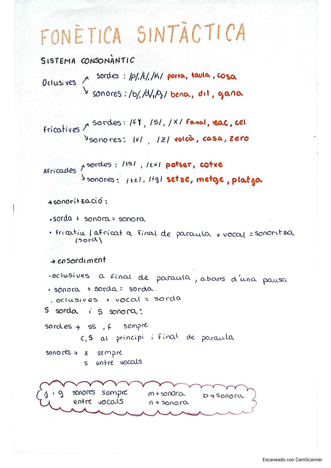# FONÈTICA SINTACTICA
SISTEMA CONSONANTIC
Oclusives
Sordes: /p//t//k/ porta, taula, cosa
sonores:/6//0/// bena, dit, gana
sordes: /fy,