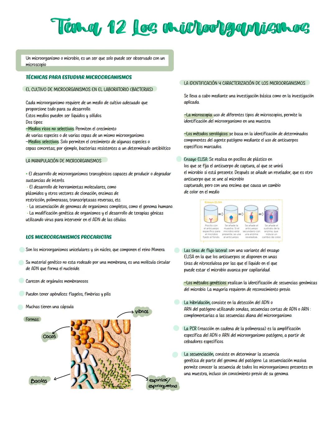 # Tema 12 los microorganismos
Un microorganismo o microbio, es un ser que solo puede ser observado con un
microscopio
## TÉCNICAS PARA EST