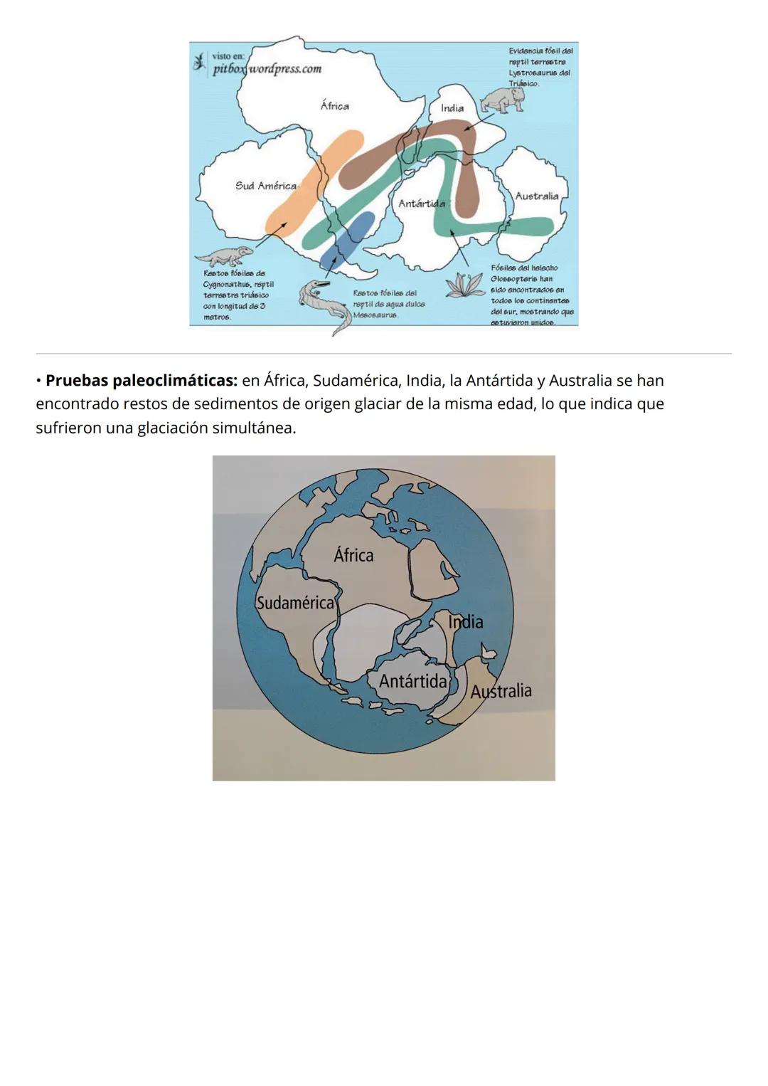 # 2. La deriva continental
Alfred Wegener propuso su teoría de la deriva continental en 1912. Según esta la teoría, los
continentes descans