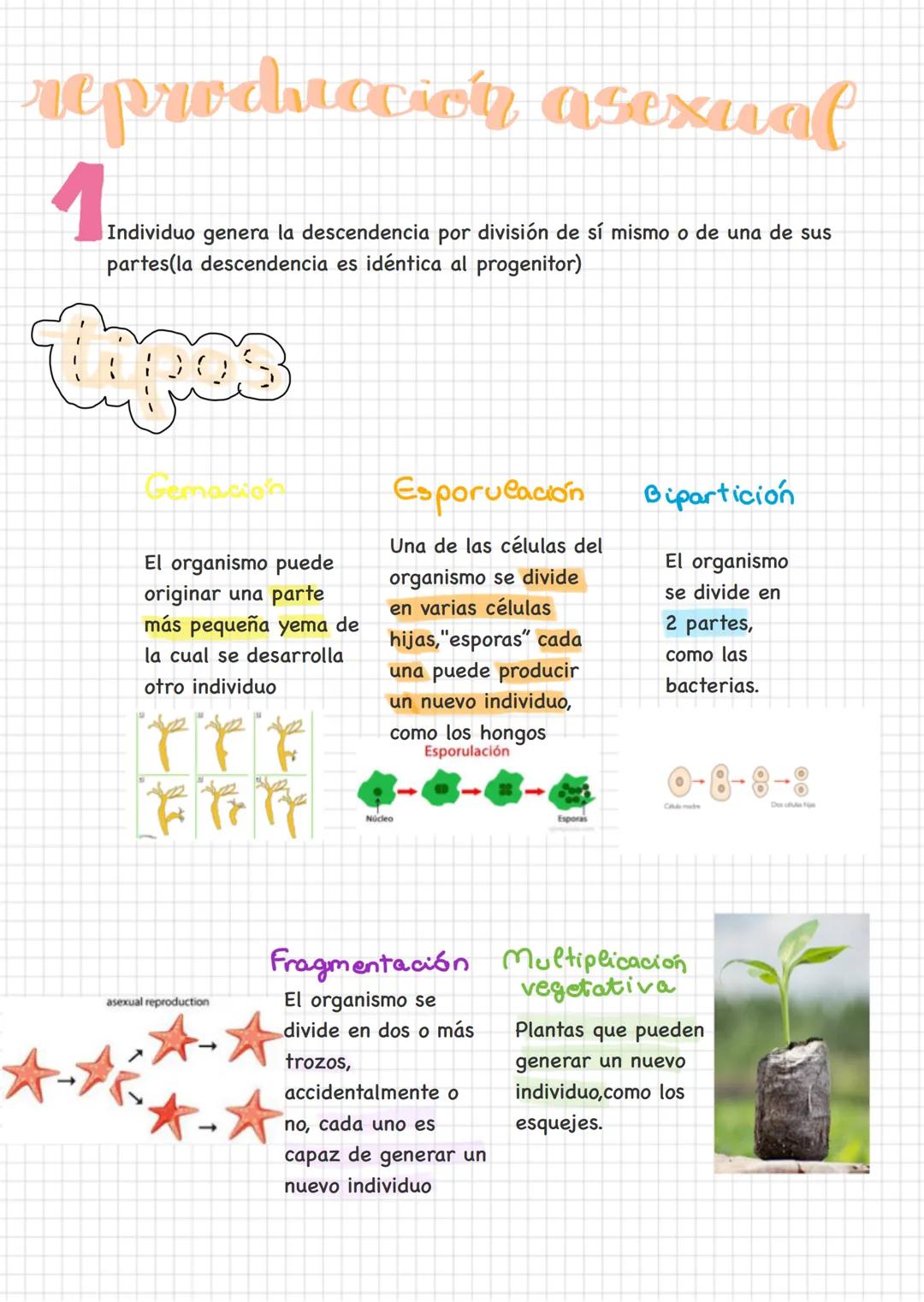 # nutrición auttlosn
(se alimentan a sí
mismos)
Captan la materia
inorgánica del media
y la transforman en
orgánica, para eso
necesitan en