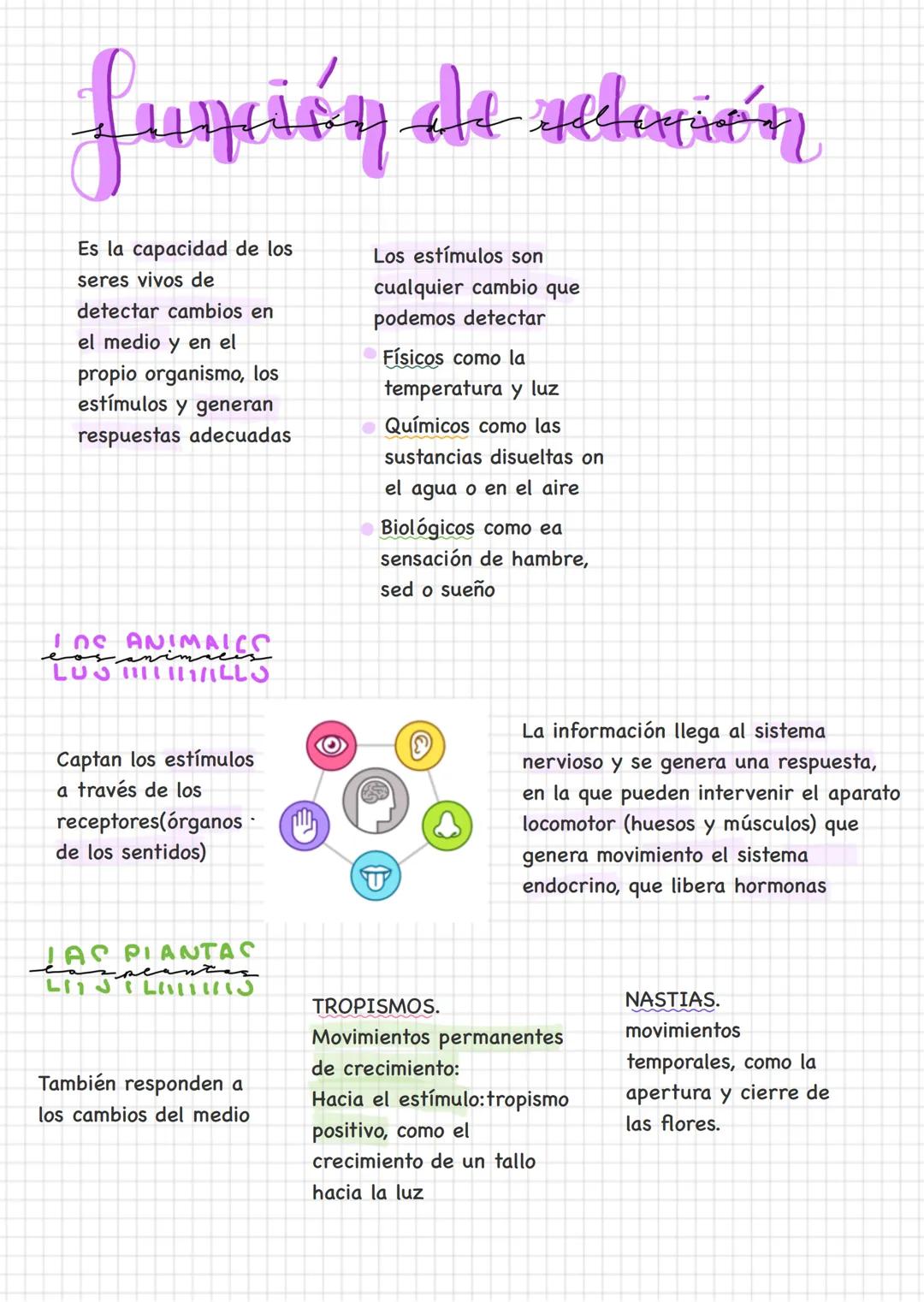 # nutrición auttlosn
(se alimentan a sí
mismos)
Captan la materia
inorgánica del media
y la transforman en
orgánica, para eso
necesitan en