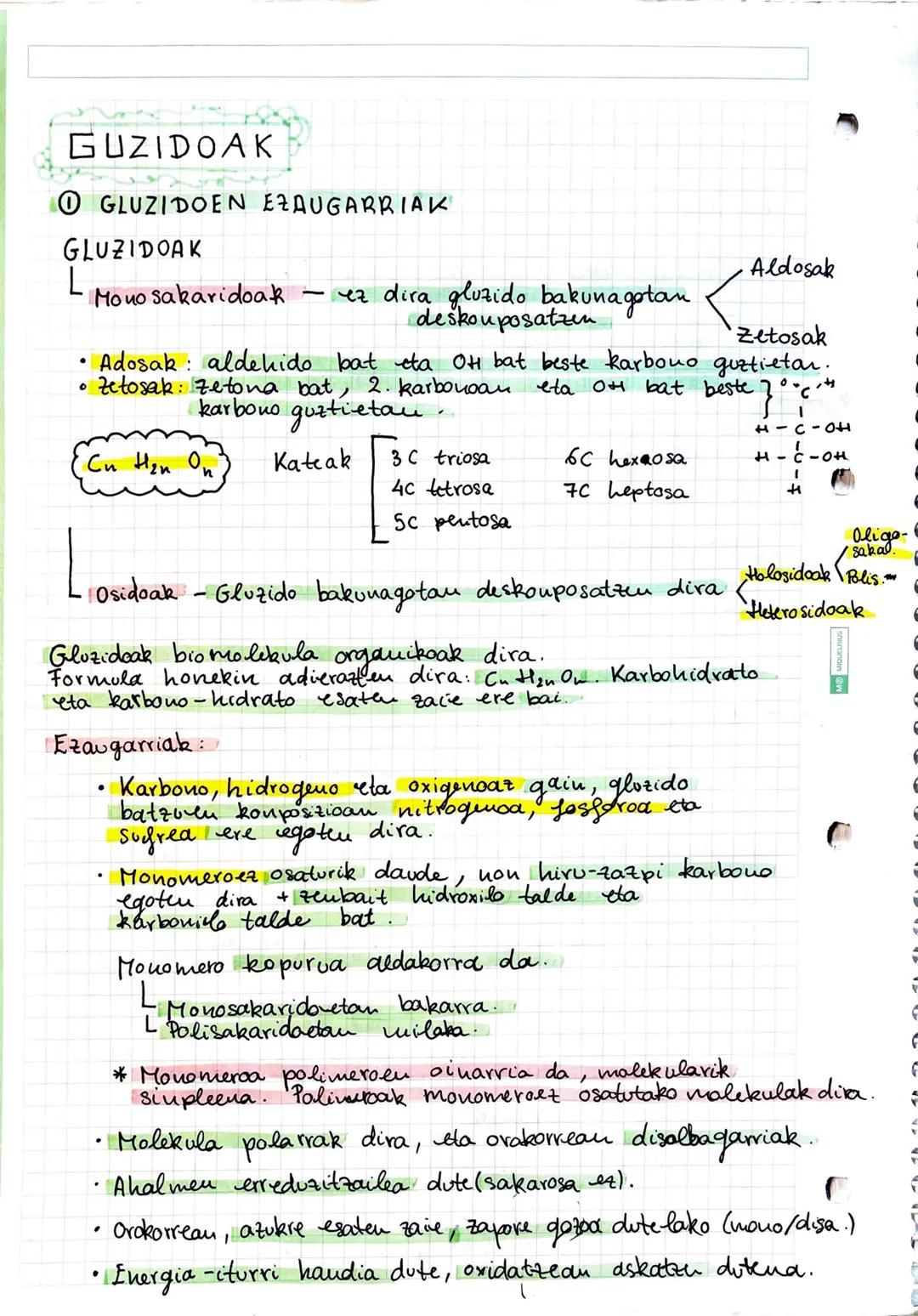 # GUZIDOAK
## ① GLUZIDOEN EZAUGARRIAK
GLUZIDOAK
- Monosakaridoak - ez dira gluzido bakunagotan deskouposatzen
- Adosak: aldehido bat eta