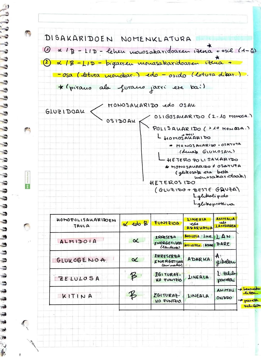 # GUZIDOAK
## ① GLUZIDOEN EZAUGARRIAK
GLUZIDOAK
- Monosakaridoak - ez dira gluzido bakunagotan deskouposatzen
- Adosak: aldehido bat eta