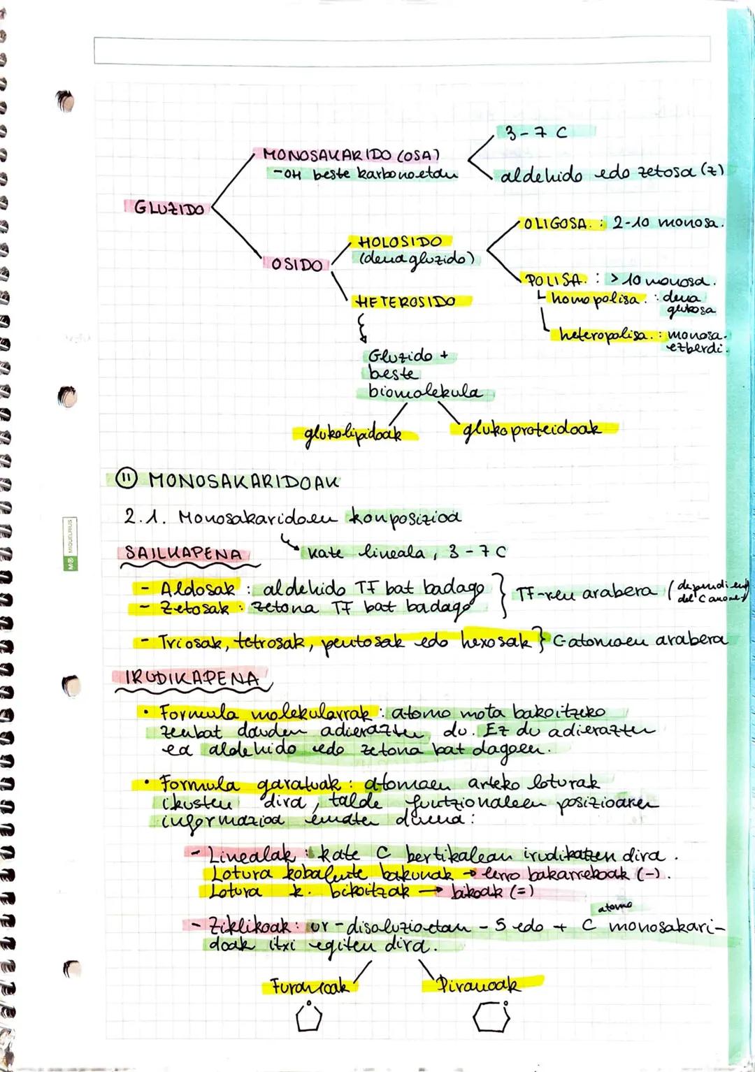 # GUZIDOAK
## ① GLUZIDOEN EZAUGARRIAK
GLUZIDOAK
- Monosakaridoak - ez dira gluzido bakunagotan deskouposatzen
- Adosak: aldehido bat eta