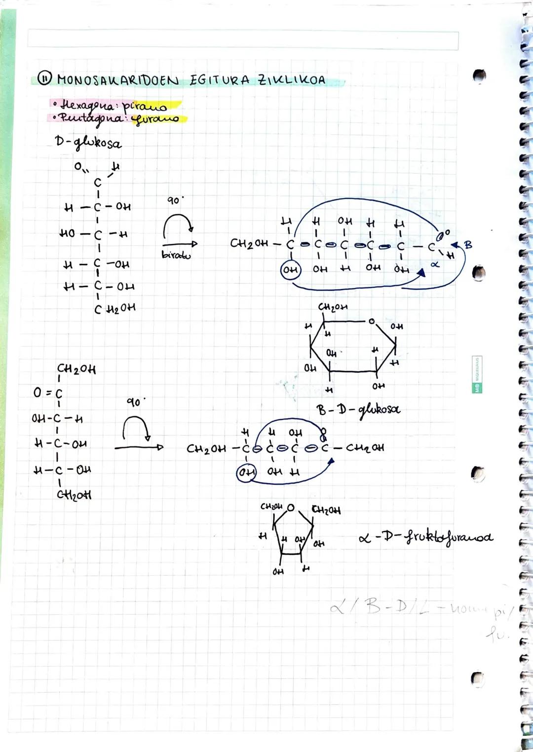 # GUZIDOAK
## ① GLUZIDOEN EZAUGARRIAK
GLUZIDOAK
- Monosakaridoak - ez dira gluzido bakunagotan deskouposatzen
- Adosak: aldehido bat eta