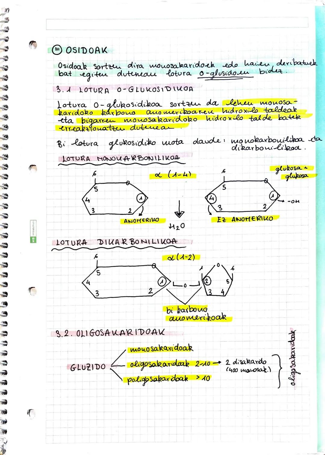 # GUZIDOAK
## ① GLUZIDOEN EZAUGARRIAK
GLUZIDOAK
- Monosakaridoak - ez dira gluzido bakunagotan deskouposatzen
- Adosak: aldehido bat eta