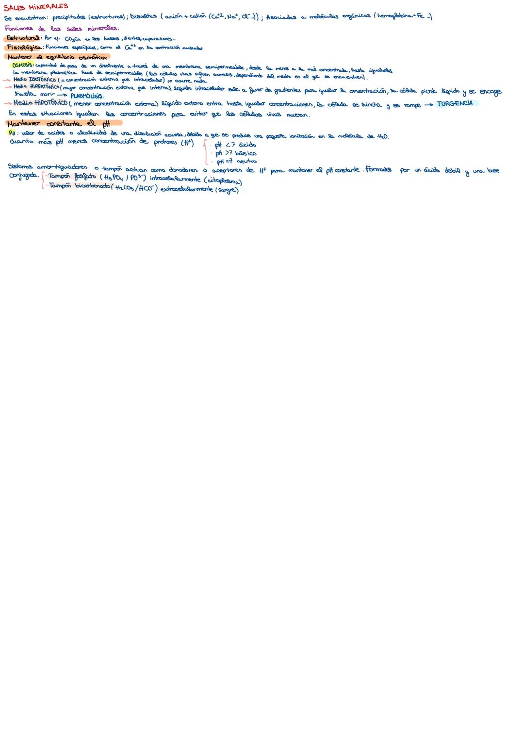 --- OCR Start ---
1. BIOELEMENTOS Y BIOMOLÉCULAS ORGÁNICAS
Los bioelementos constituyen la maderia viva (C,H,O,N,P,S)
CLASIFICACIÓN DE LOS B