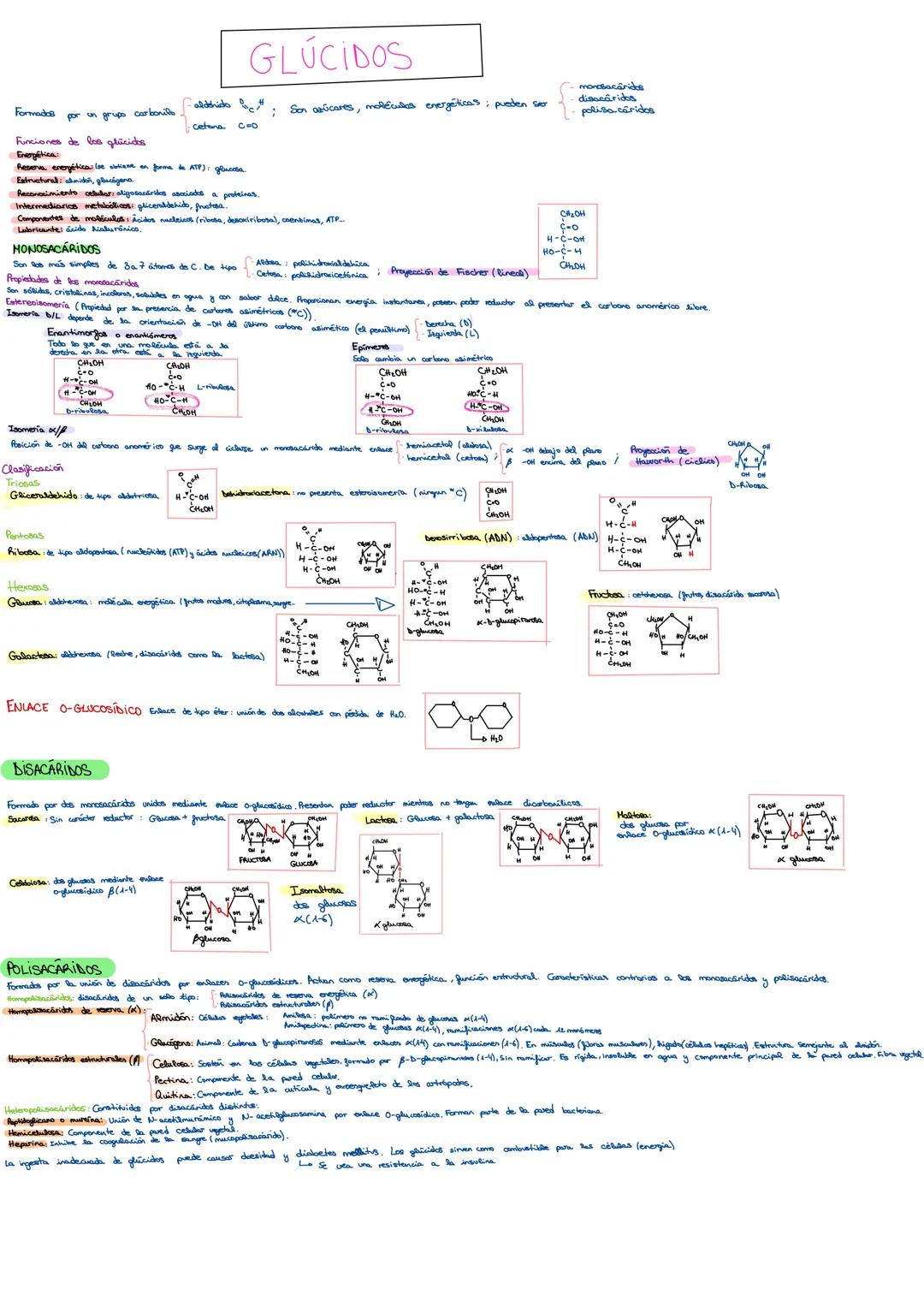 --- OCR Start ---
1. BIOELEMENTOS Y BIOMOLÉCULAS ORGÁNICAS
Los bioelementos constituyen la maderia viva (C,H,O,N,P,S)
CLASIFICACIÓN DE LOS B