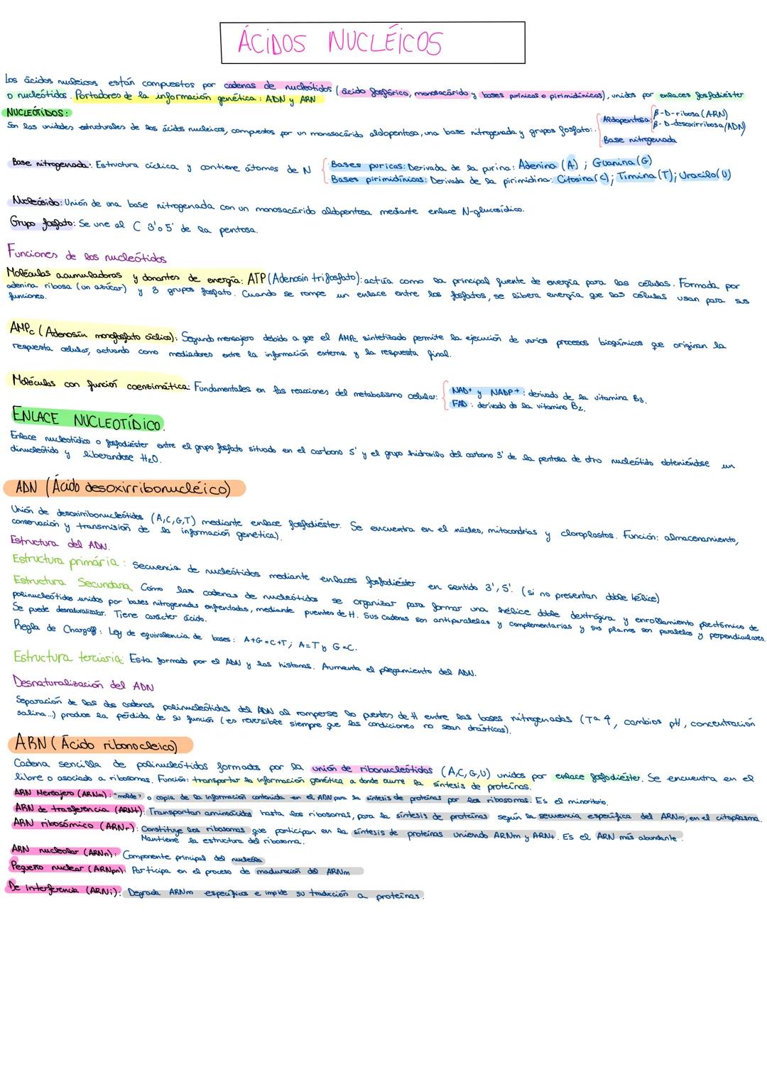 --- OCR Start ---
1. BIOELEMENTOS Y BIOMOLÉCULAS ORGÁNICAS
Los bioelementos constituyen la maderia viva (C,H,O,N,P,S)
CLASIFICACIÓN DE LOS B