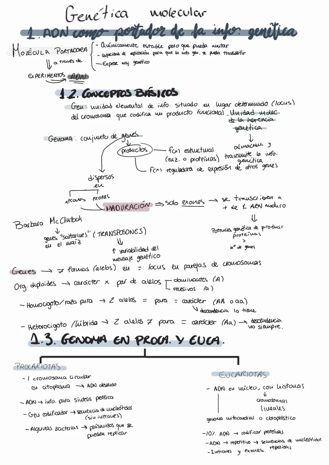 # Genética molecular
1. AON como portador de fa info genética
MOLÉCULA PORTADORA
Il a través de
EXPERIMENTOS AON
- Químicamente estable