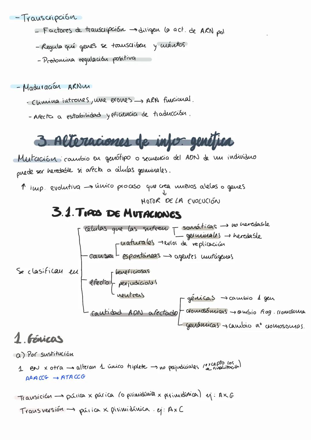 # Genética molecular
1. AON como portador de fa info genética
MOLÉCULA PORTADORA
Il a través de
EXPERIMENTOS AON
- Químicamente estable