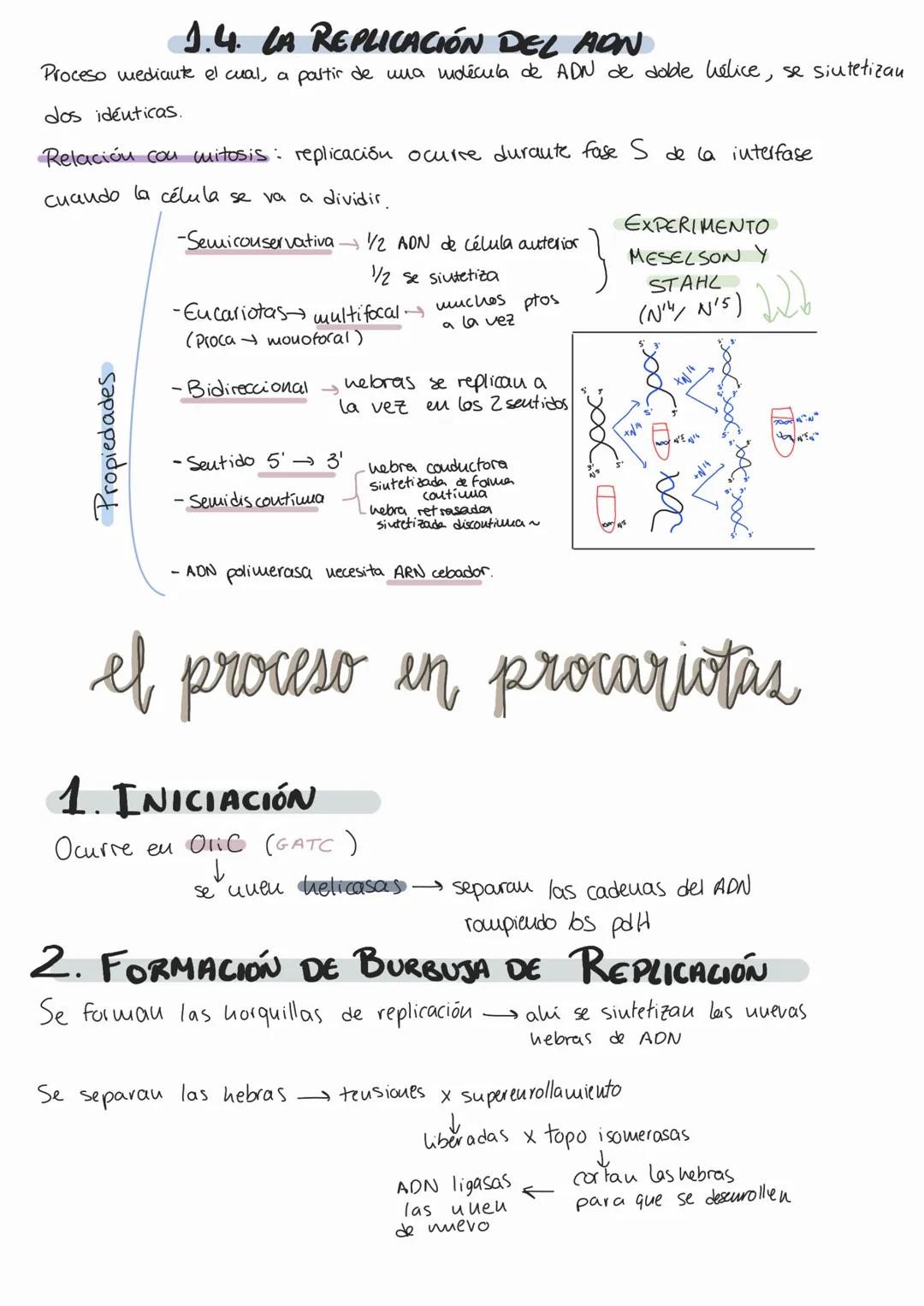 # Genética molecular
1. AON como portador de fa info genética
MOLÉCULA PORTADORA
Il a través de
EXPERIMENTOS AON
- Químicamente estable