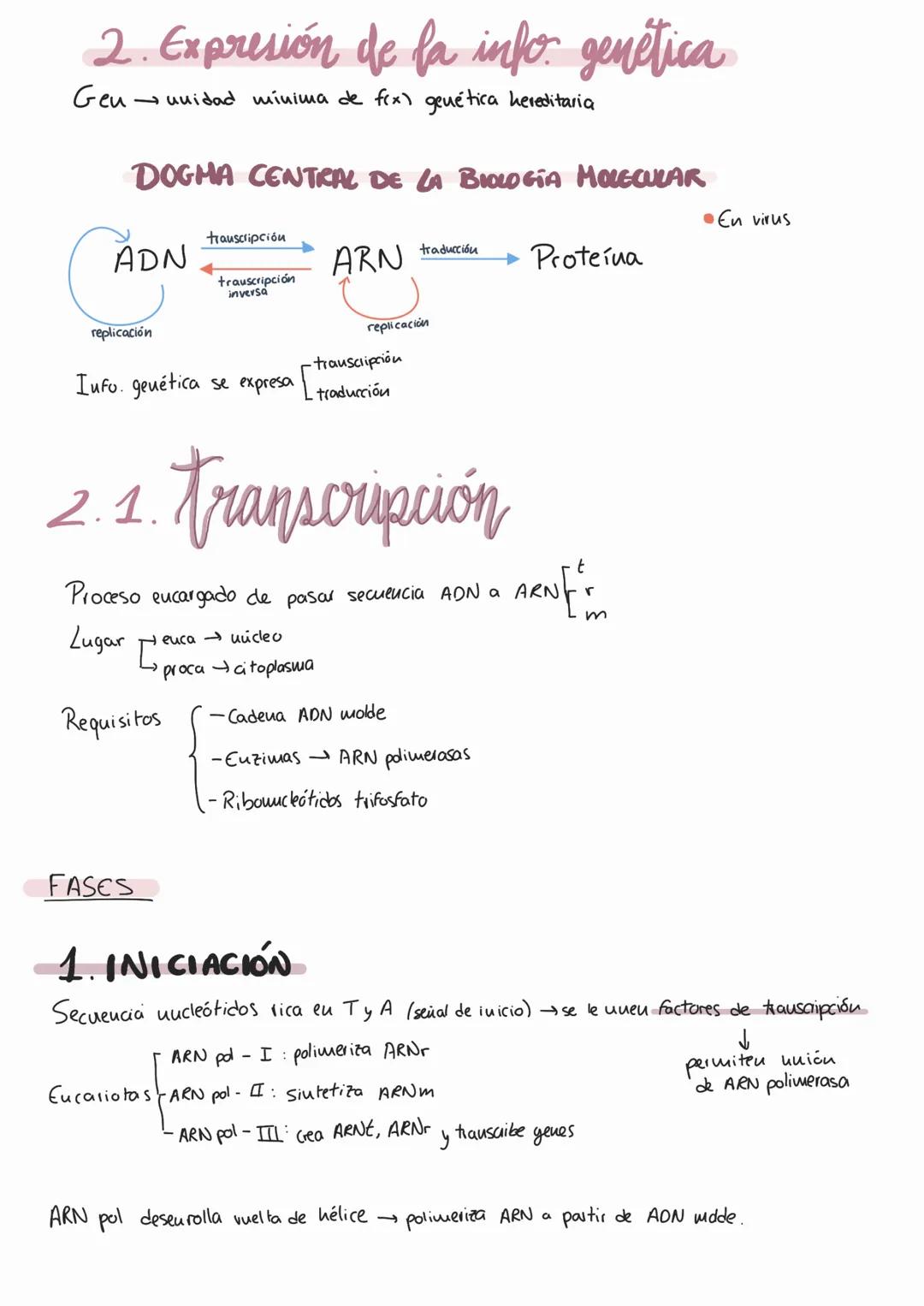 # Genética molecular
1. AON como portador de fa info genética
MOLÉCULA PORTADORA
Il a través de
EXPERIMENTOS AON
- Químicamente estable