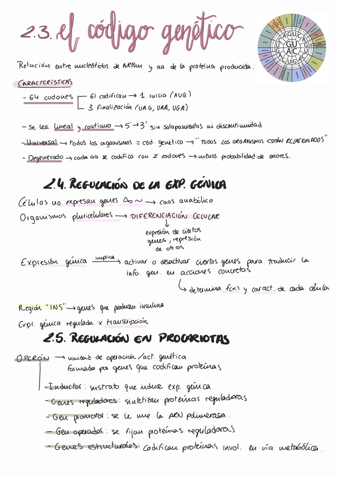 # Genética molecular
1. AON como portador de fa info genética
MOLÉCULA PORTADORA
Il a través de
EXPERIMENTOS AON
- Químicamente estable