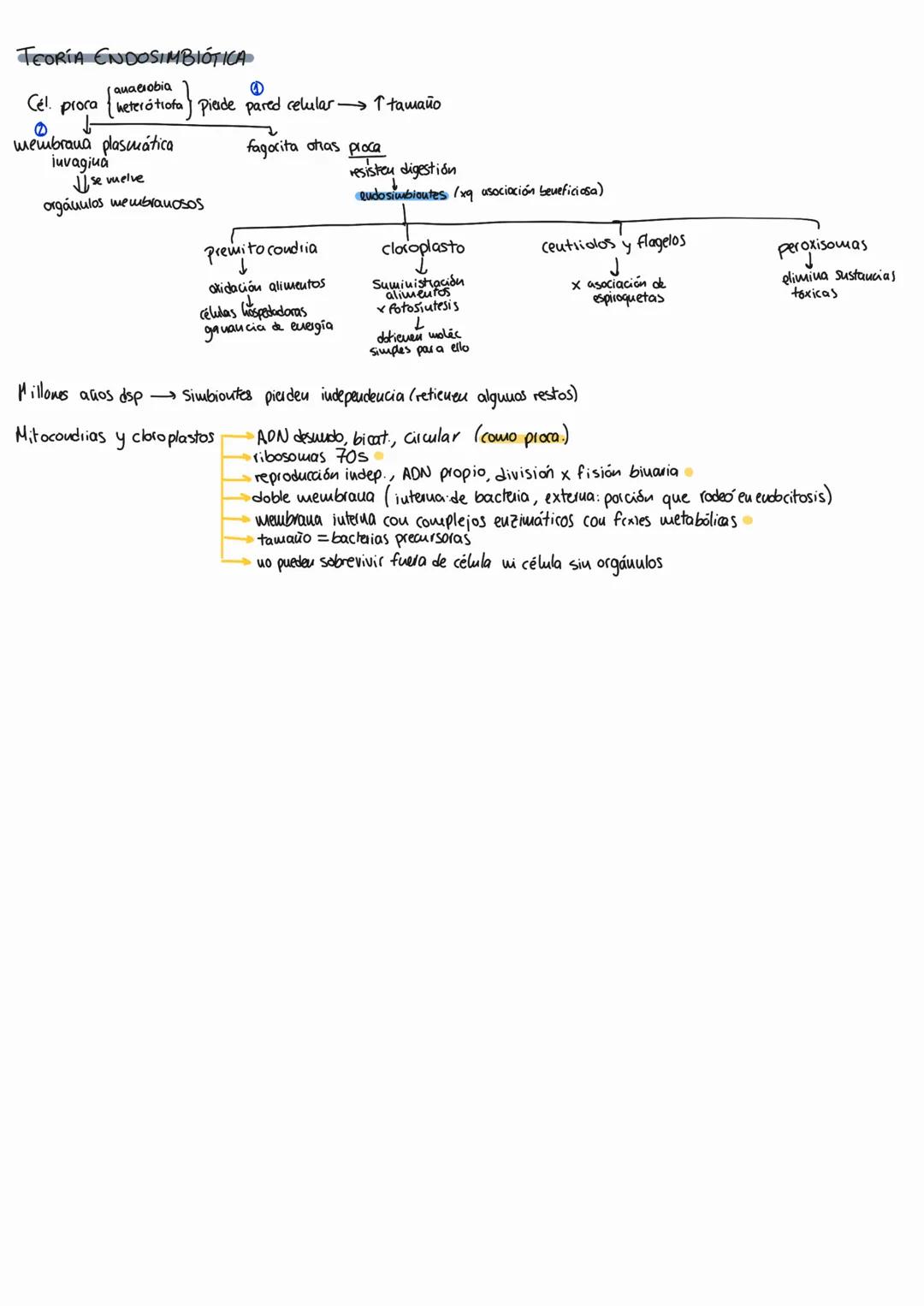 # Tema 8: la célula
1. LA CÉLULA ES....
- Unidad estructural de los ss.vv. (todos los ss.w. están fawados por células).
- Unidad fisiológ