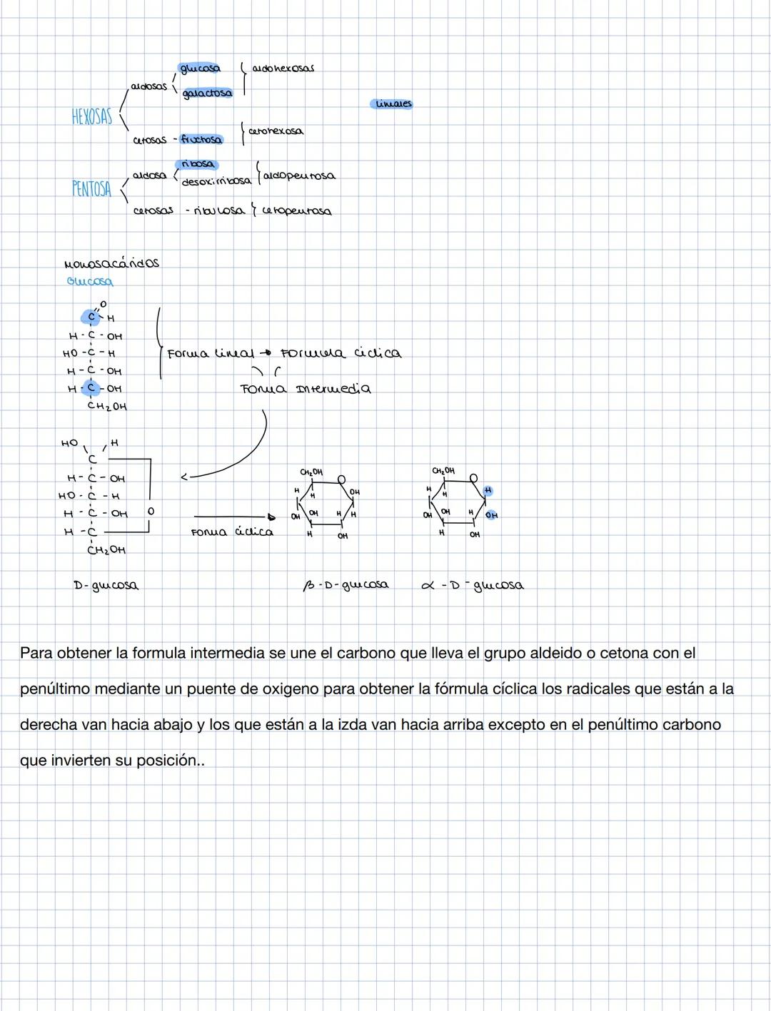 glucosa
aldo hexosas
aldosas
galactosa
Lineares
HEXOSAS
cerohexosa
cetosas fructosa
nbosa
aldosa
PENTOSA
desoxiribosa
aldopeurosa
cerosas ri
