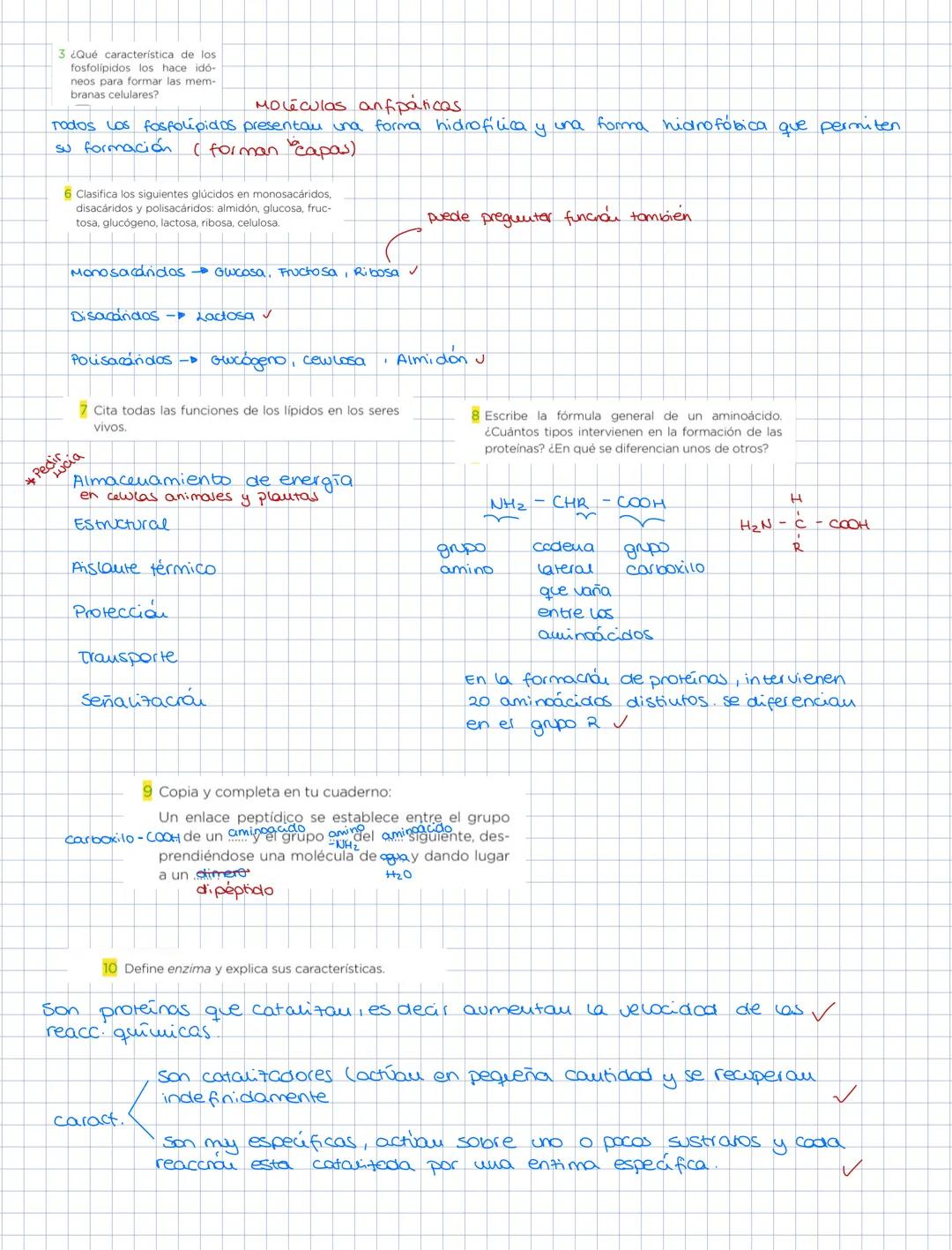glucosa
aldo hexosas
aldosas
galactosa
Lineares
HEXOSAS
cerohexosa
cetosas fructosa
nbosa
aldosa
PENTOSA
desoxiribosa
aldopeurosa
cerosas ri