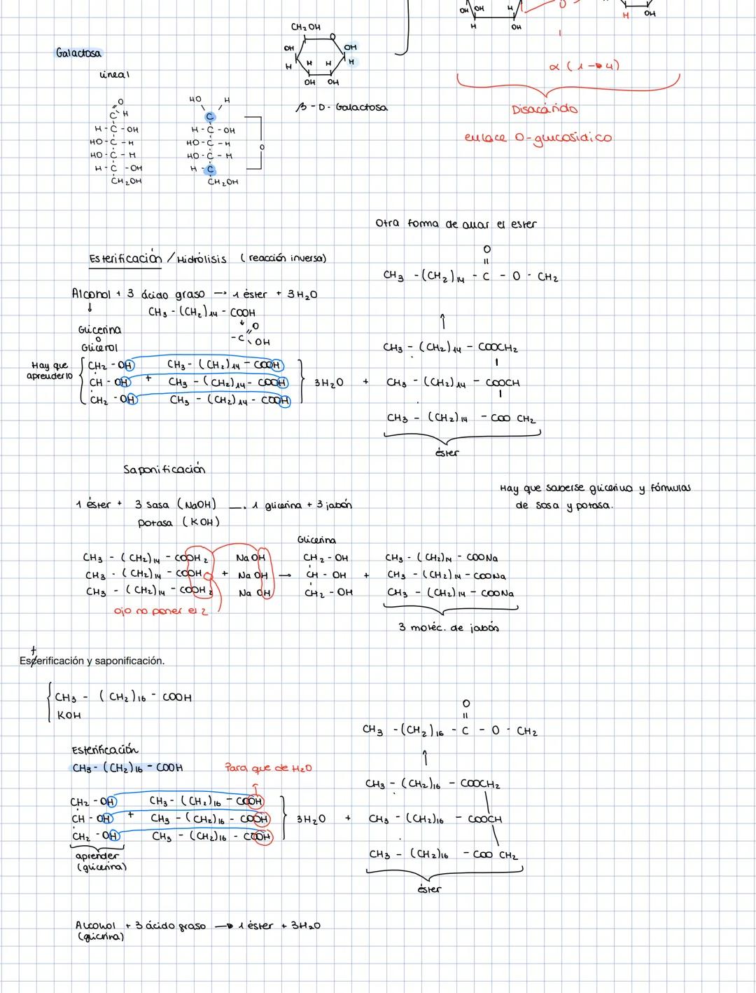 glucosa
aldo hexosas
aldosas
galactosa
Lineares
HEXOSAS
cerohexosa
cetosas fructosa
nbosa
aldosa
PENTOSA
desoxiribosa
aldopeurosa
cerosas ri
