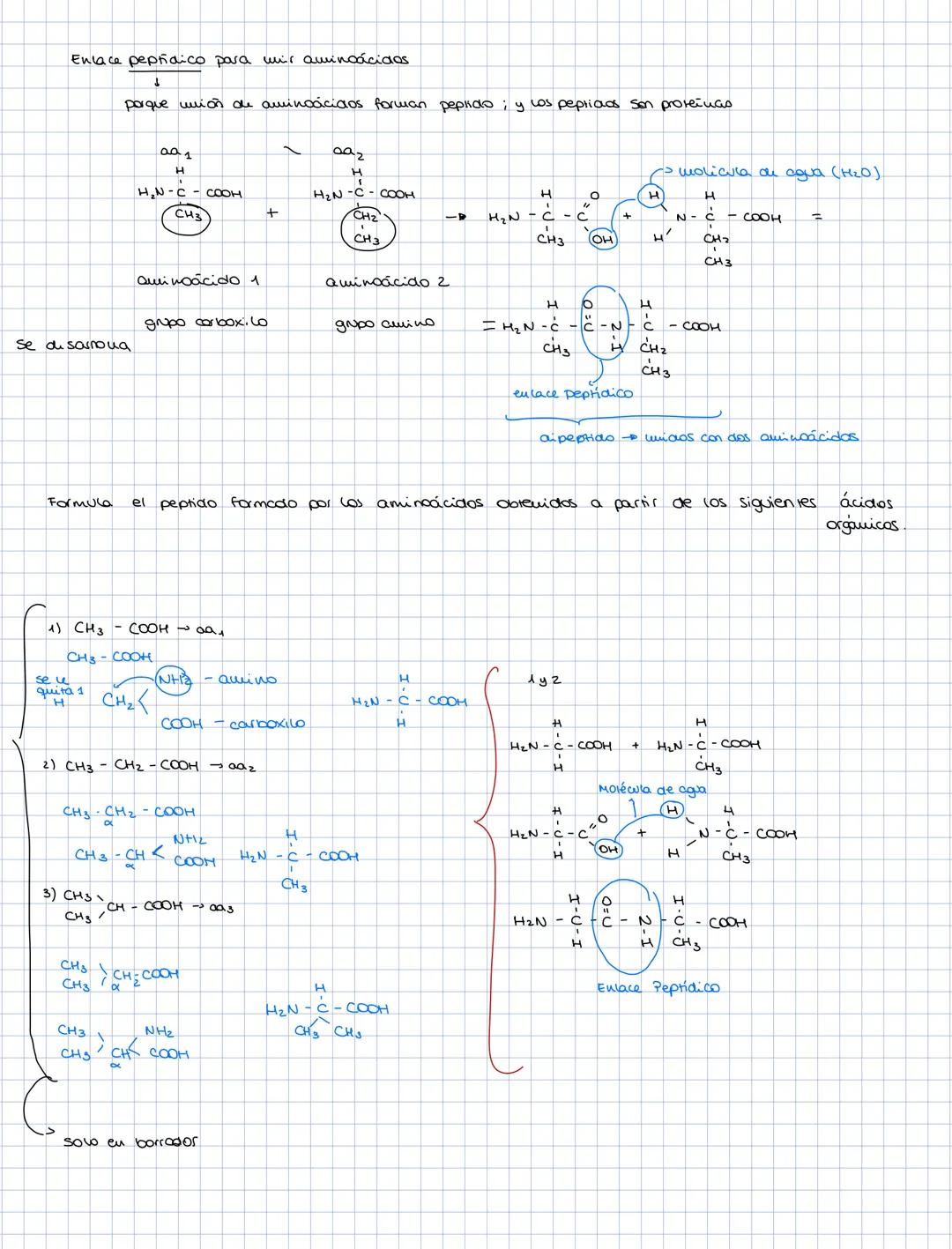 glucosa
aldo hexosas
aldosas
galactosa
Lineares
HEXOSAS
cerohexosa
cetosas fructosa
nbosa
aldosa
PENTOSA
desoxiribosa
aldopeurosa
cerosas ri