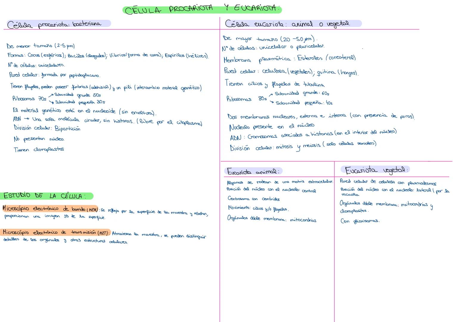 --- OCR Start ---
Célula procariota: bacteriana.
De menor tamaño (2-5 μm)
CELULA PROCARIOTA Y EUCARIOTA:
Formas: Cocos (esféricos); Bacilos