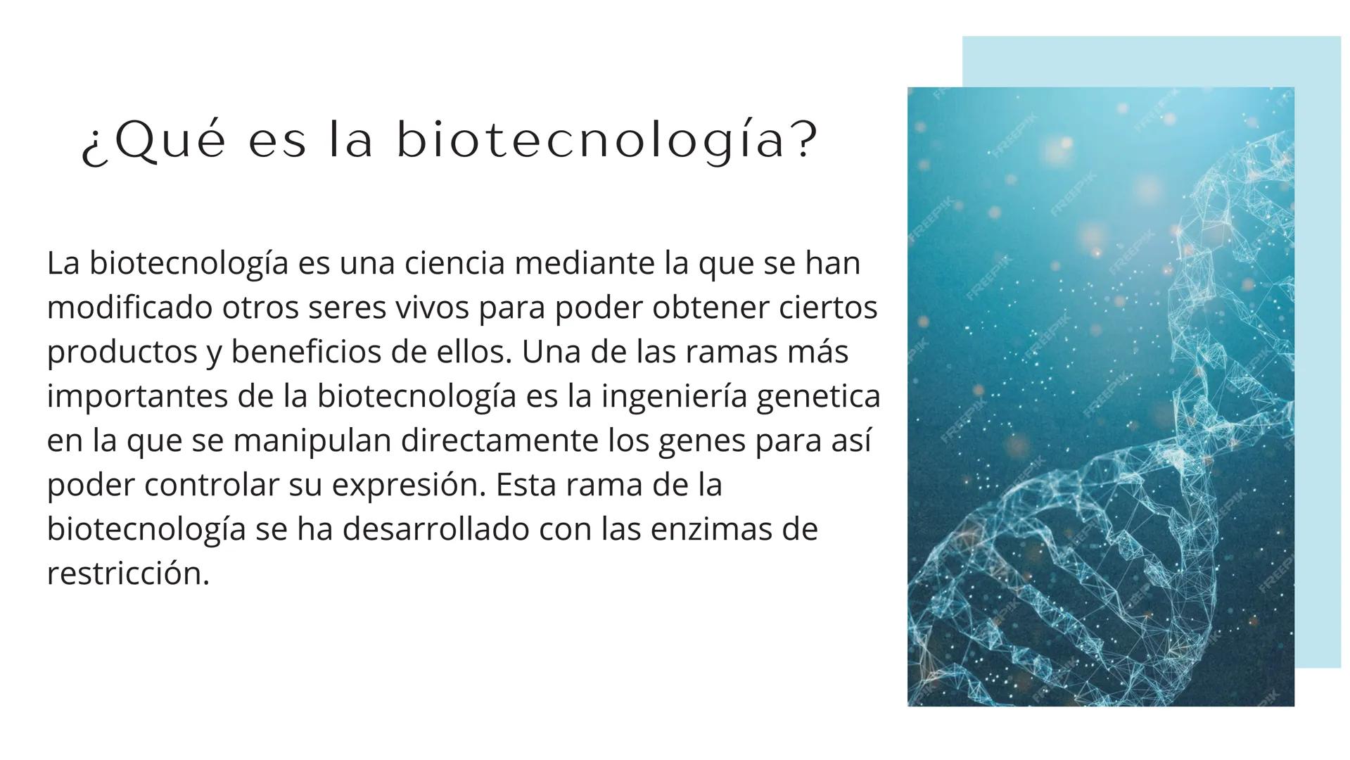 # TÉCNICAS DE
# BIOTECNOLOGÍA
Ángela Ros Pavia Introducción
01 ¿Qué es la biotecnología?
02 Clonación del ADN
03 PCR
04 Secuenciación del