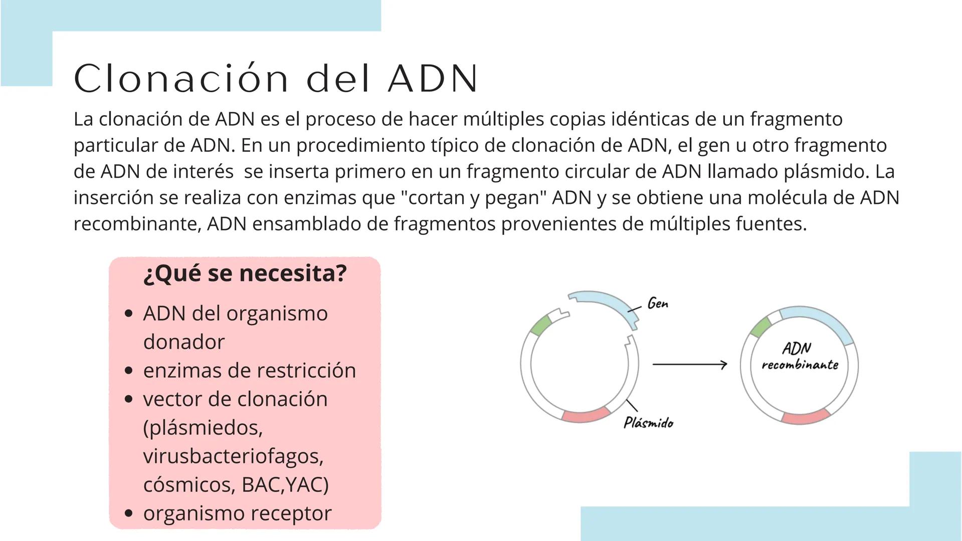 # TÉCNICAS DE
# BIOTECNOLOGÍA
Ángela Ros Pavia Introducción
01 ¿Qué es la biotecnología?
02 Clonación del ADN
03 PCR
04 Secuenciación del