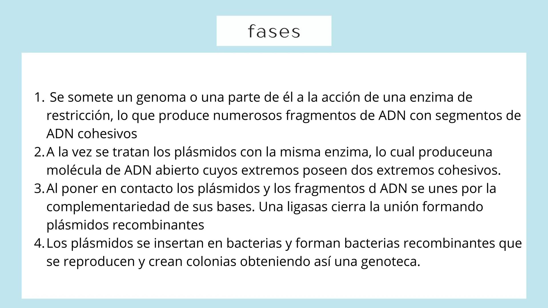 # TÉCNICAS DE
# BIOTECNOLOGÍA
Ángela Ros Pavia Introducción
01 ¿Qué es la biotecnología?
02 Clonación del ADN
03 PCR
04 Secuenciación del