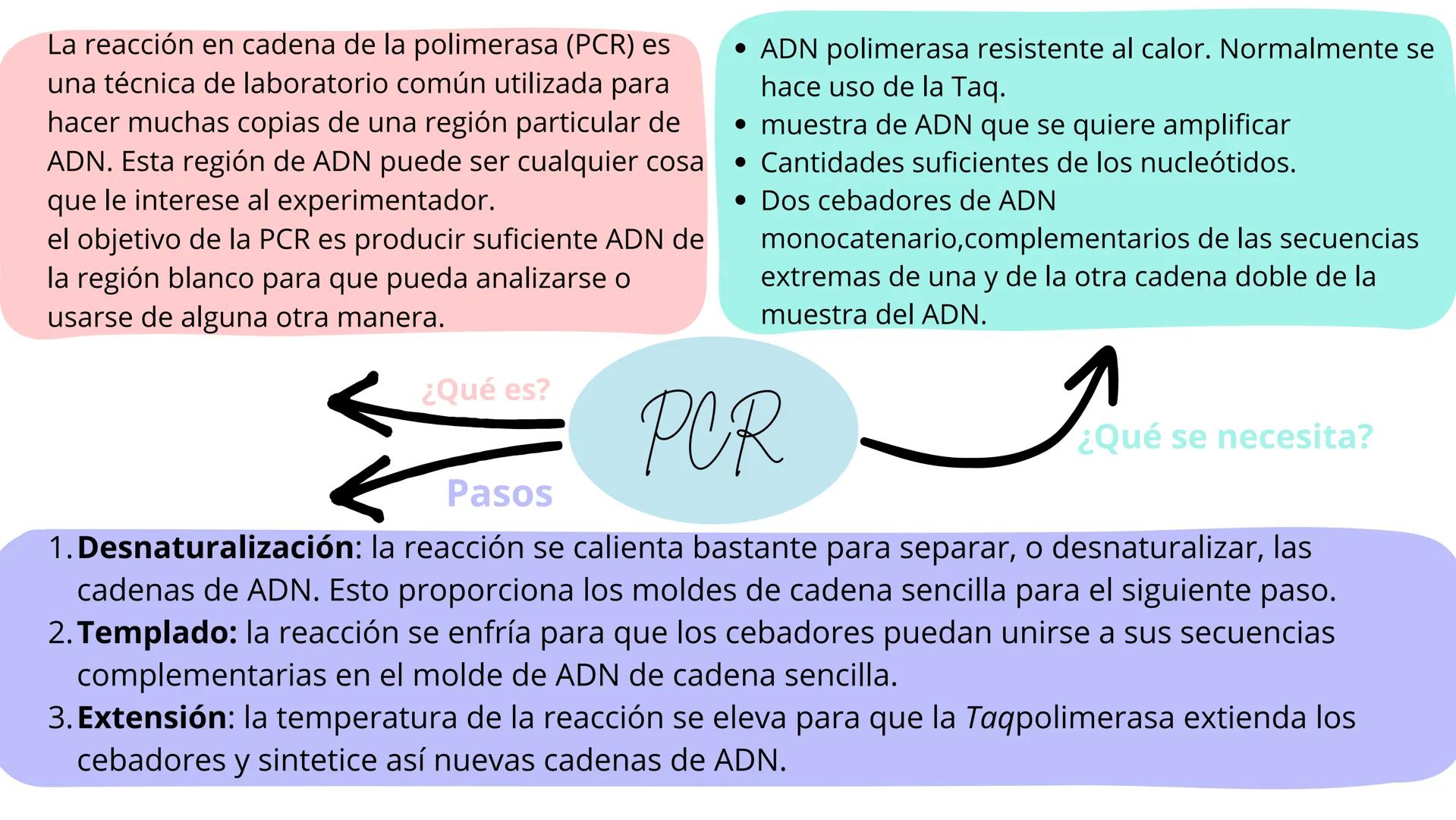# TÉCNICAS DE
# BIOTECNOLOGÍA
Ángela Ros Pavia Introducción
01 ¿Qué es la biotecnología?
02 Clonación del ADN
03 PCR
04 Secuenciación del