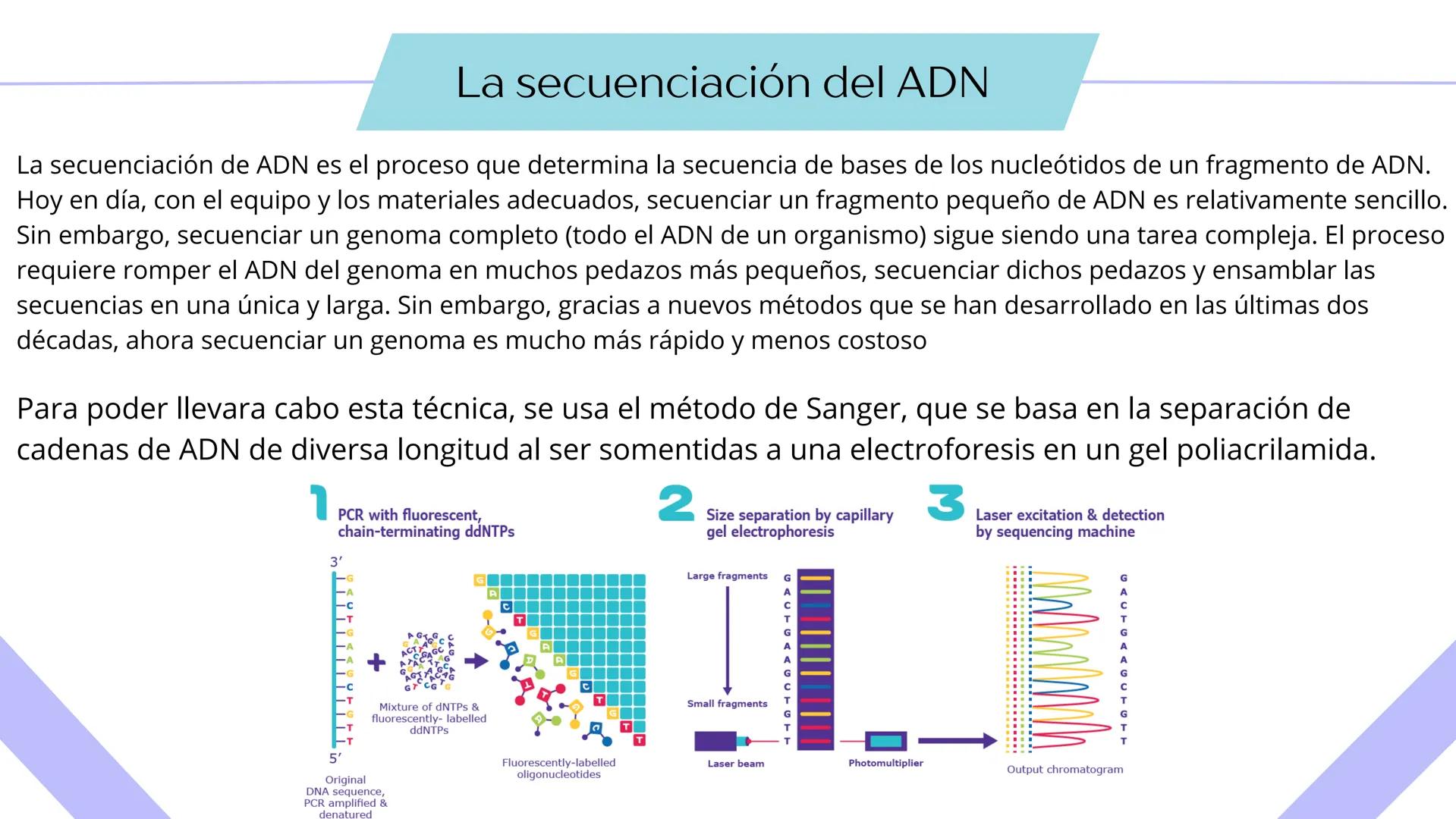 # TÉCNICAS DE
# BIOTECNOLOGÍA
Ángela Ros Pavia Introducción
01 ¿Qué es la biotecnología?
02 Clonación del ADN
03 PCR
04 Secuenciación del