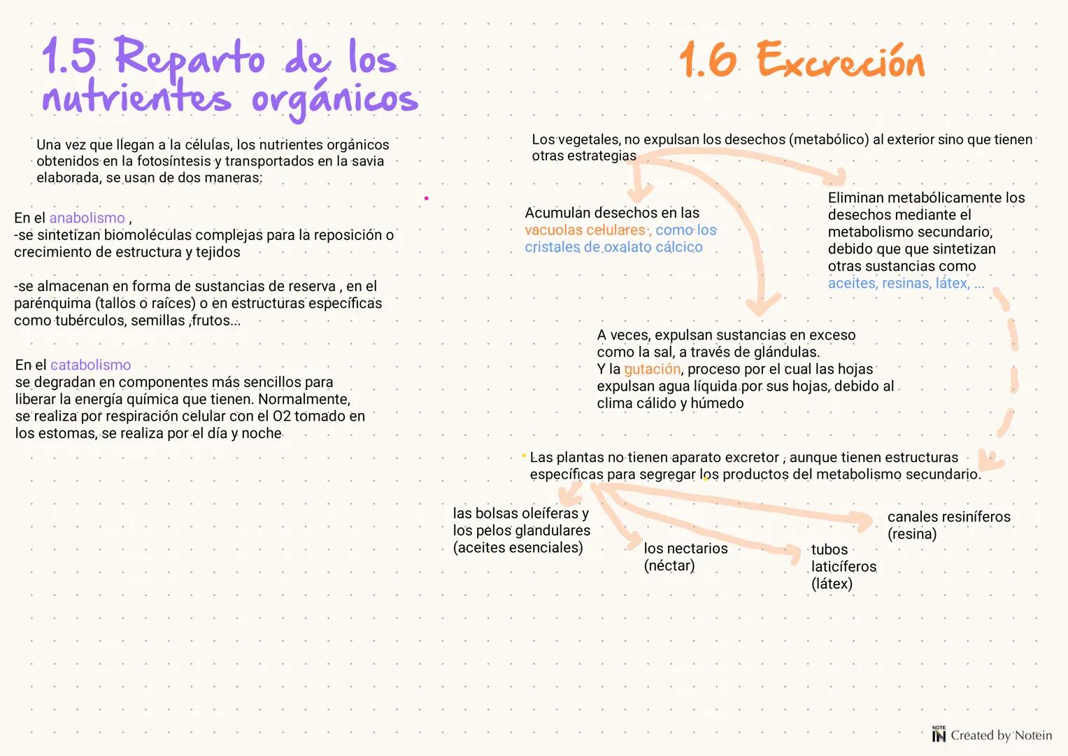1.FUNCIÓN DE NUTRICIÓN
EN LAS PLANTAS
Las plantas son organismos autótrofós fotosintéticos, es decir que utilizan la energía solar para tran