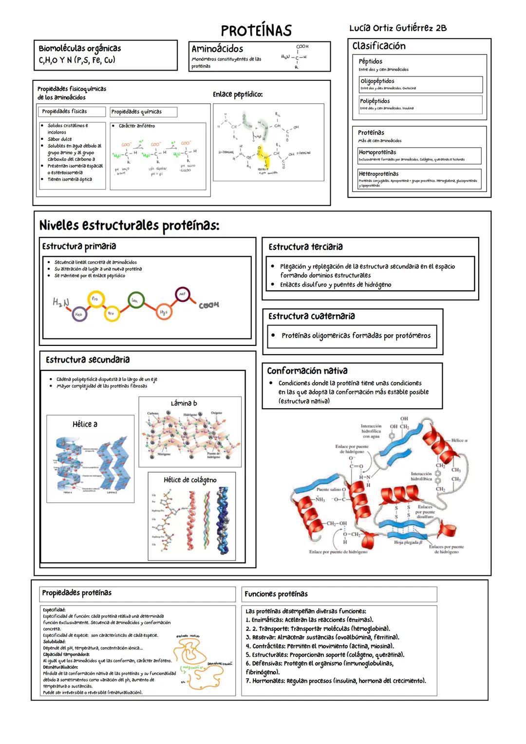 Biomoléculas orgánicas
C,H,O Y N (P,S, Fe, Cu)
Propiedades fisicoquímicas
de los aminoácidos
Propiedades físicas
Solidos cristalinos e
incol