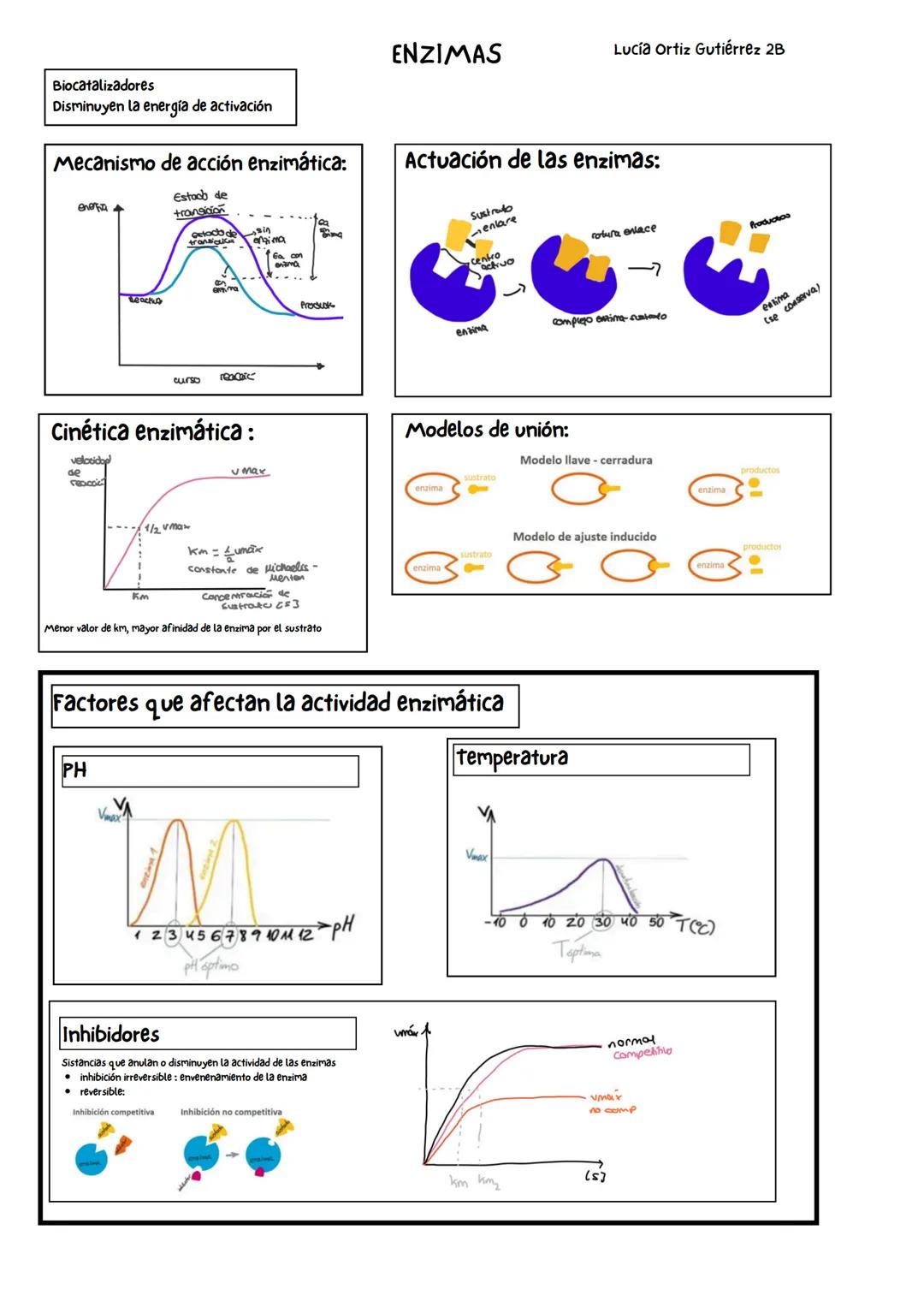 Biomoléculas orgánicas
C,H,O Y N (P,S, Fe, Cu)
Propiedades fisicoquímicas
de los aminoácidos
Propiedades físicas
Solidos cristalinos e
incol