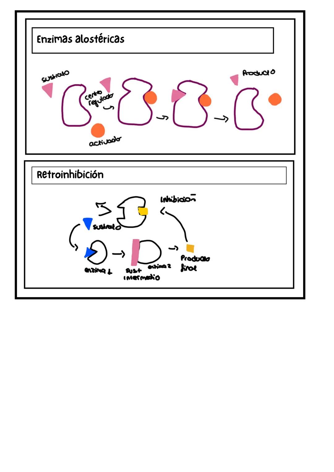 Biomoléculas orgánicas
C,H,O Y N (P,S, Fe, Cu)
Propiedades fisicoquímicas
de los aminoácidos
Propiedades físicas
Solidos cristalinos e
incol