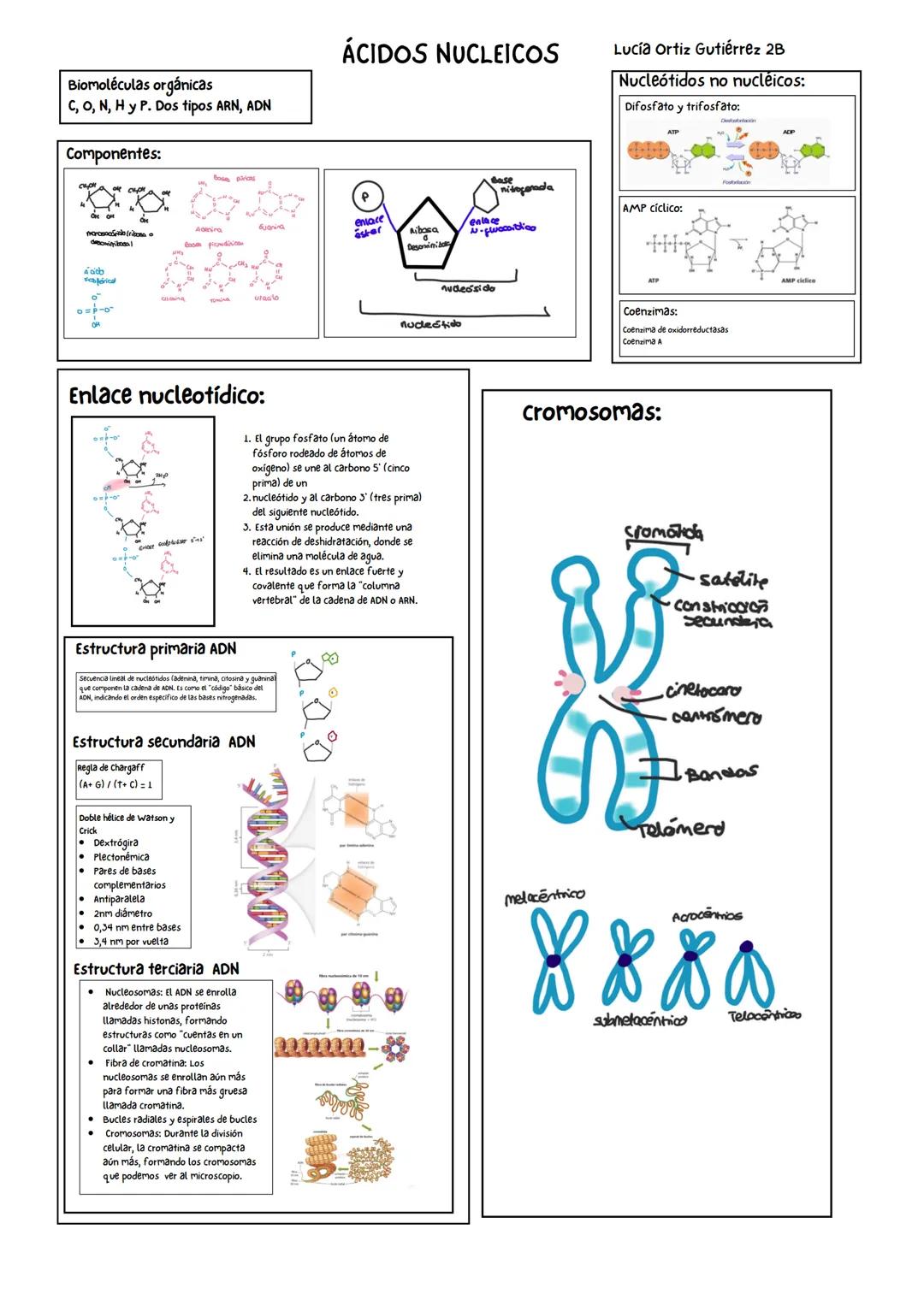 Biomoléculas orgánicas
C,H,O Y N (P,S, Fe, Cu)
Propiedades fisicoquímicas
de los aminoácidos
Propiedades físicas
Solidos cristalinos e
incol