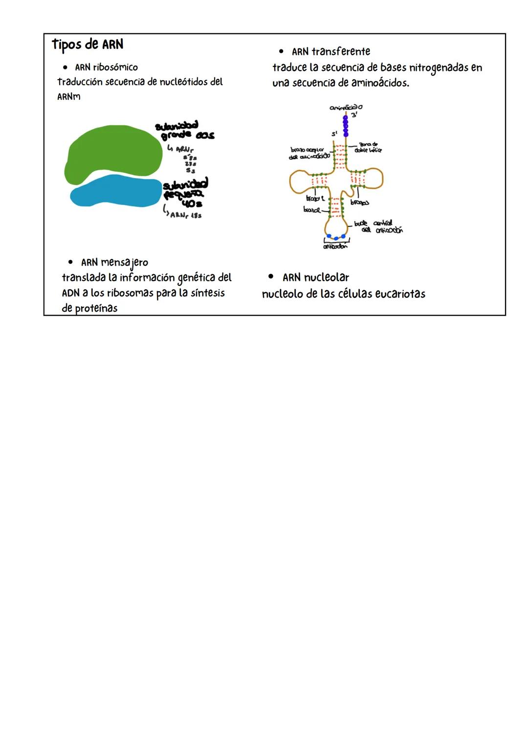 Biomoléculas orgánicas
C,H,O Y N (P,S, Fe, Cu)
Propiedades fisicoquímicas
de los aminoácidos
Propiedades físicas
Solidos cristalinos e
incol
