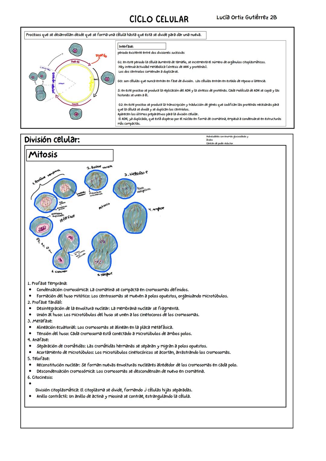 Biomoléculas orgánicas
C,H,O Y N (P,S, Fe, Cu)
Propiedades fisicoquímicas
de los aminoácidos
Propiedades físicas
Solidos cristalinos e
incol