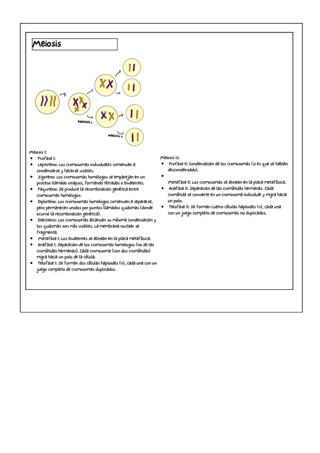 Biomoléculas orgánicas
C,H,O Y N (P,S, Fe, Cu)
Propiedades fisicoquímicas
de los aminoácidos
Propiedades físicas
Solidos cristalinos e
incol