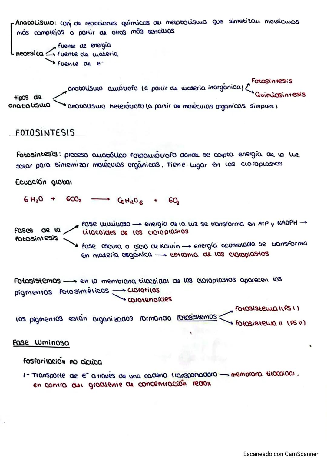 -Anabolismo: conj de reacciones químicas del metabolismo que simetizan moléculas
más complejas a partir de otras más sencillas
ncesita
tipos