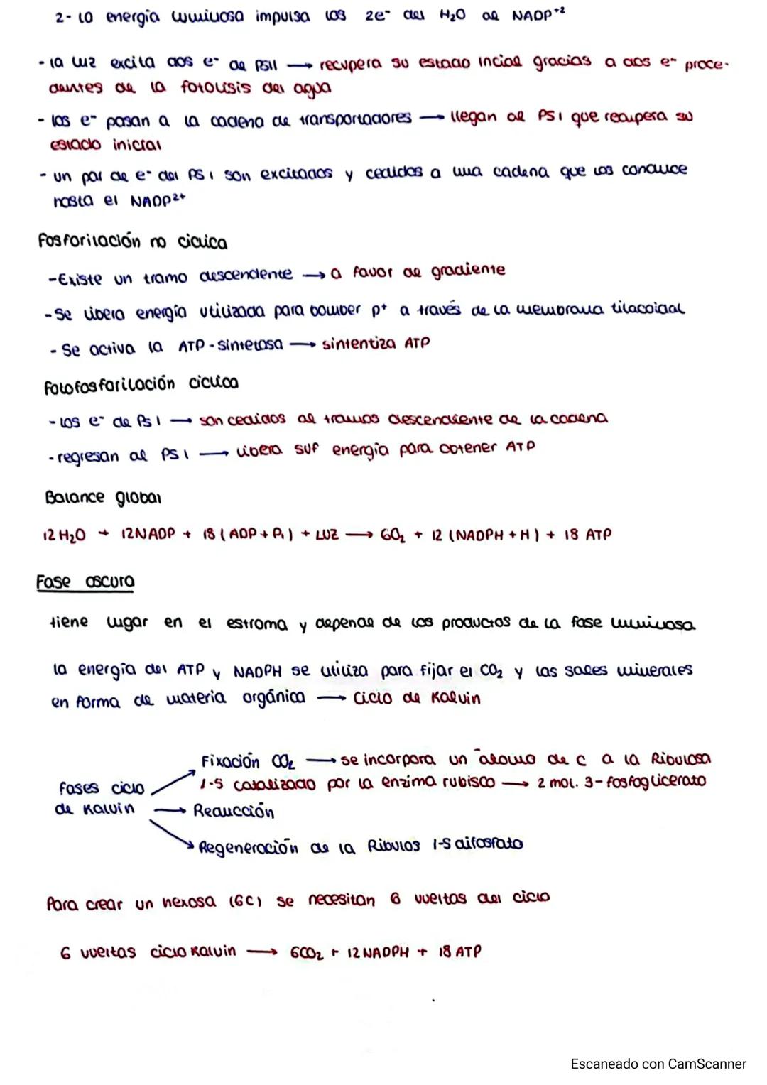 -Anabolismo: conj de reacciones químicas del metabolismo que simetizan moléculas
más complejas a partir de otras más sencillas
ncesita
tipos