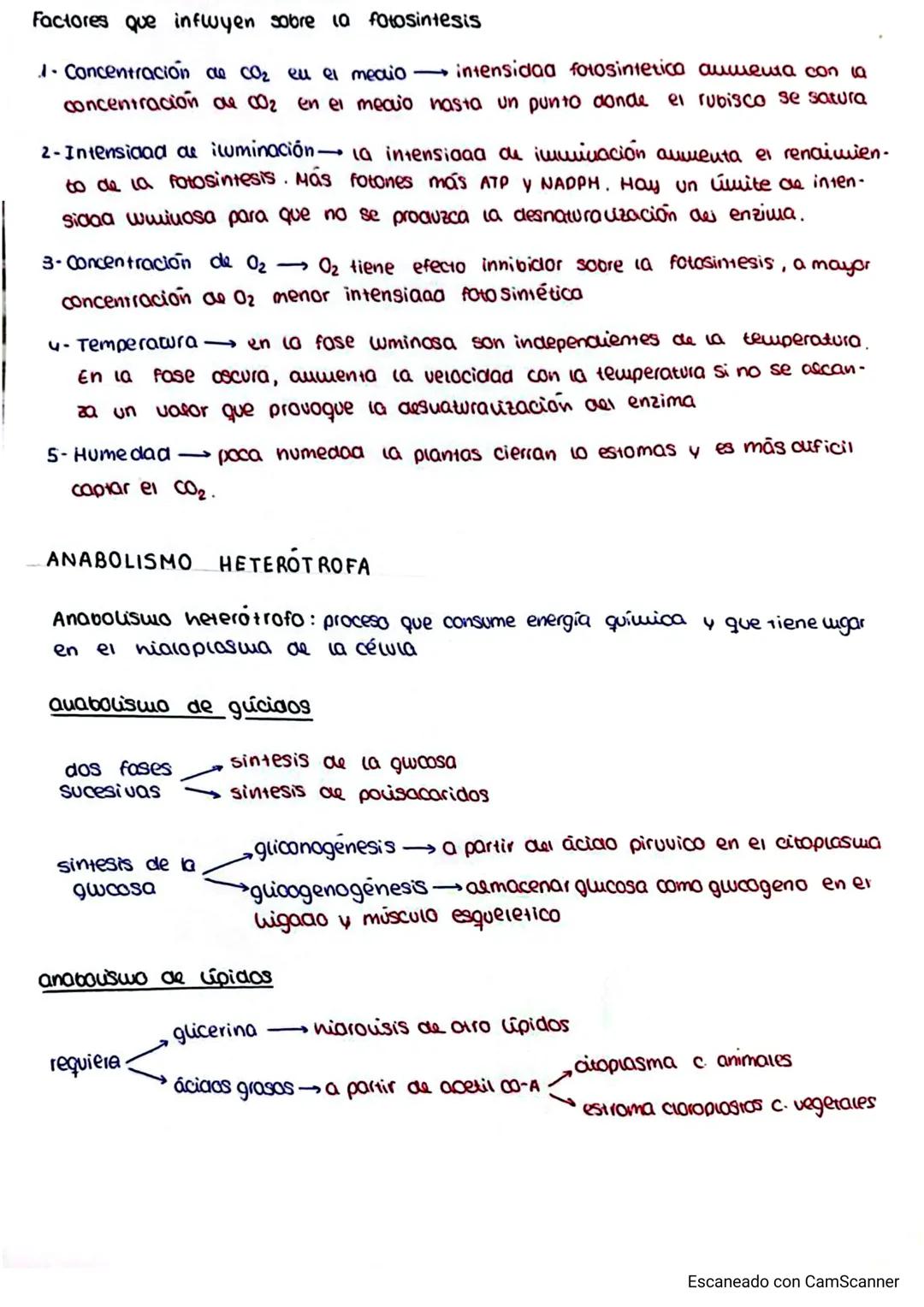 -Anabolismo: conj de reacciones químicas del metabolismo que simetizan moléculas
más complejas a partir de otras más sencillas
ncesita
tipos