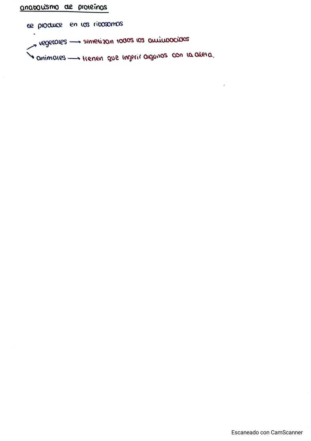 -Anabolismo: conj de reacciones químicas del metabolismo que simetizan moléculas
más complejas a partir de otras más sencillas
ncesita
tipos