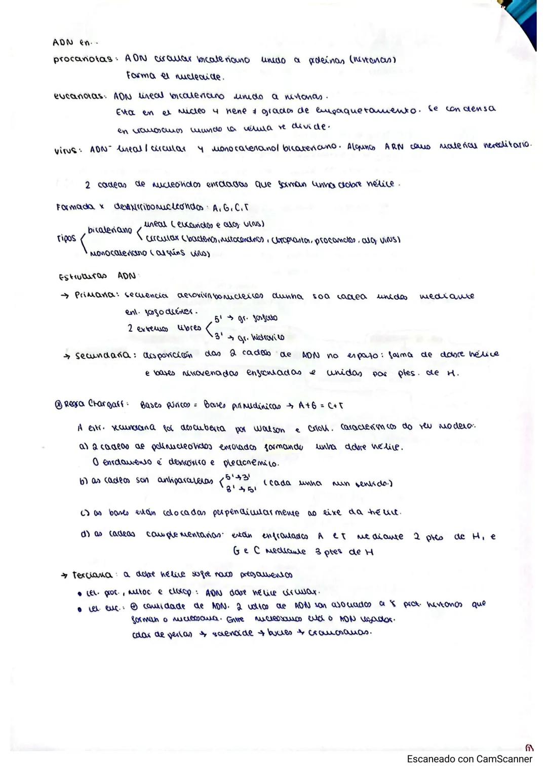 ## ACIDOS NUCLEICOS
biomoleculas de caracter acido formadas por C, H, O, N, P
son de gran tamaño para que se definen como polimeros formados