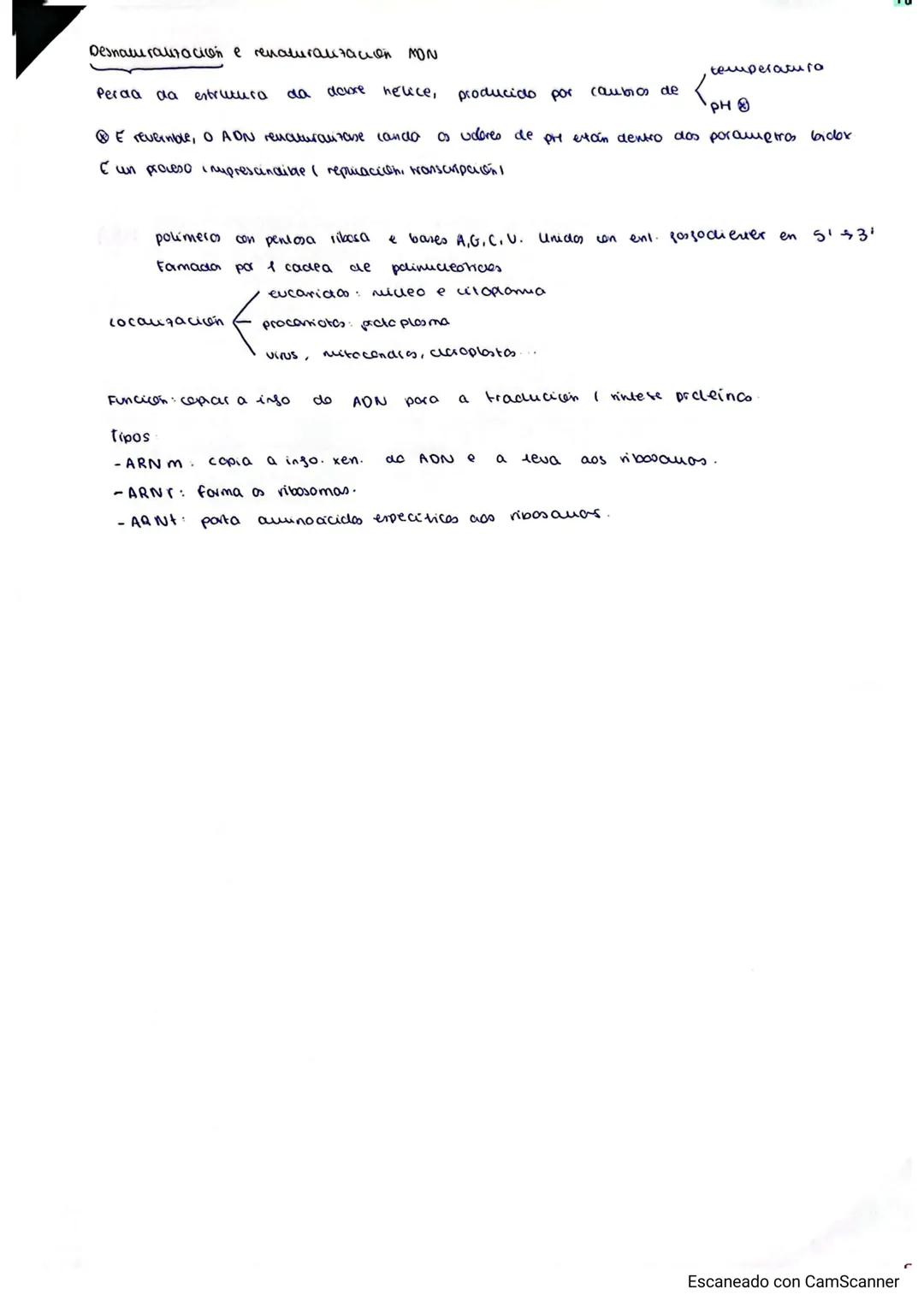 ## ACIDOS NUCLEICOS
biomoleculas de caracter acido formadas por C, H, O, N, P
son de gran tamaño para que se definen como polimeros formados