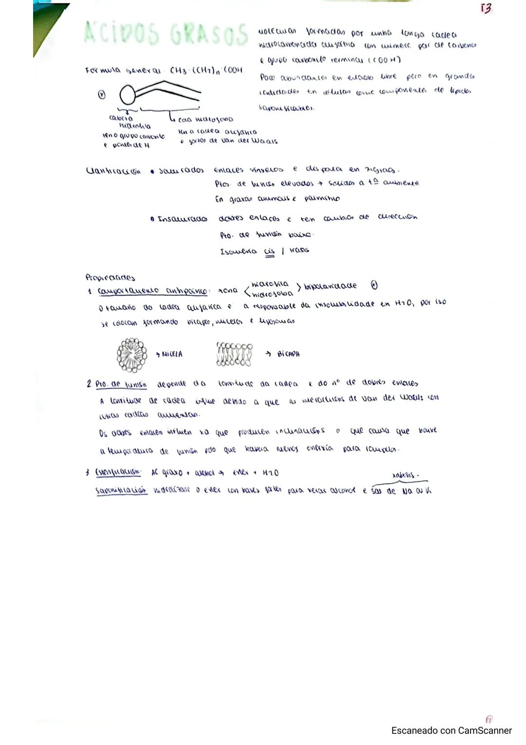 LÍPIDOS
Grupo heteroxéneo de subst. químicas dende o pto de vista
Formados por C,H,O,N,S,P
Propiedades:
- Son moléculas apolares. Solubles e