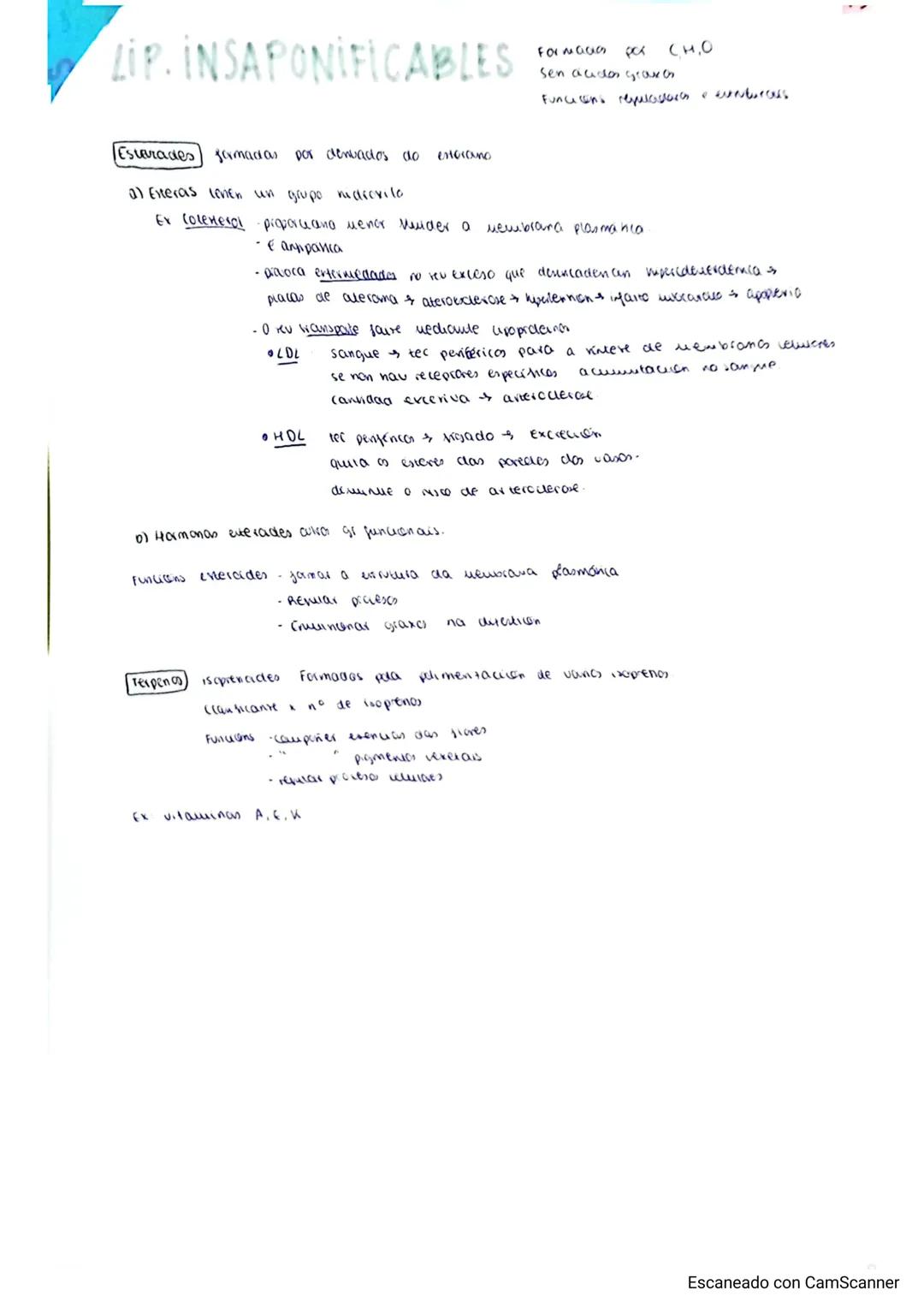 LÍPIDOS
Grupo heteroxéneo de subst. químicas dende o pto de vista
Formados por C,H,O,N,S,P
Propiedades:
- Son moléculas apolares. Solubles e